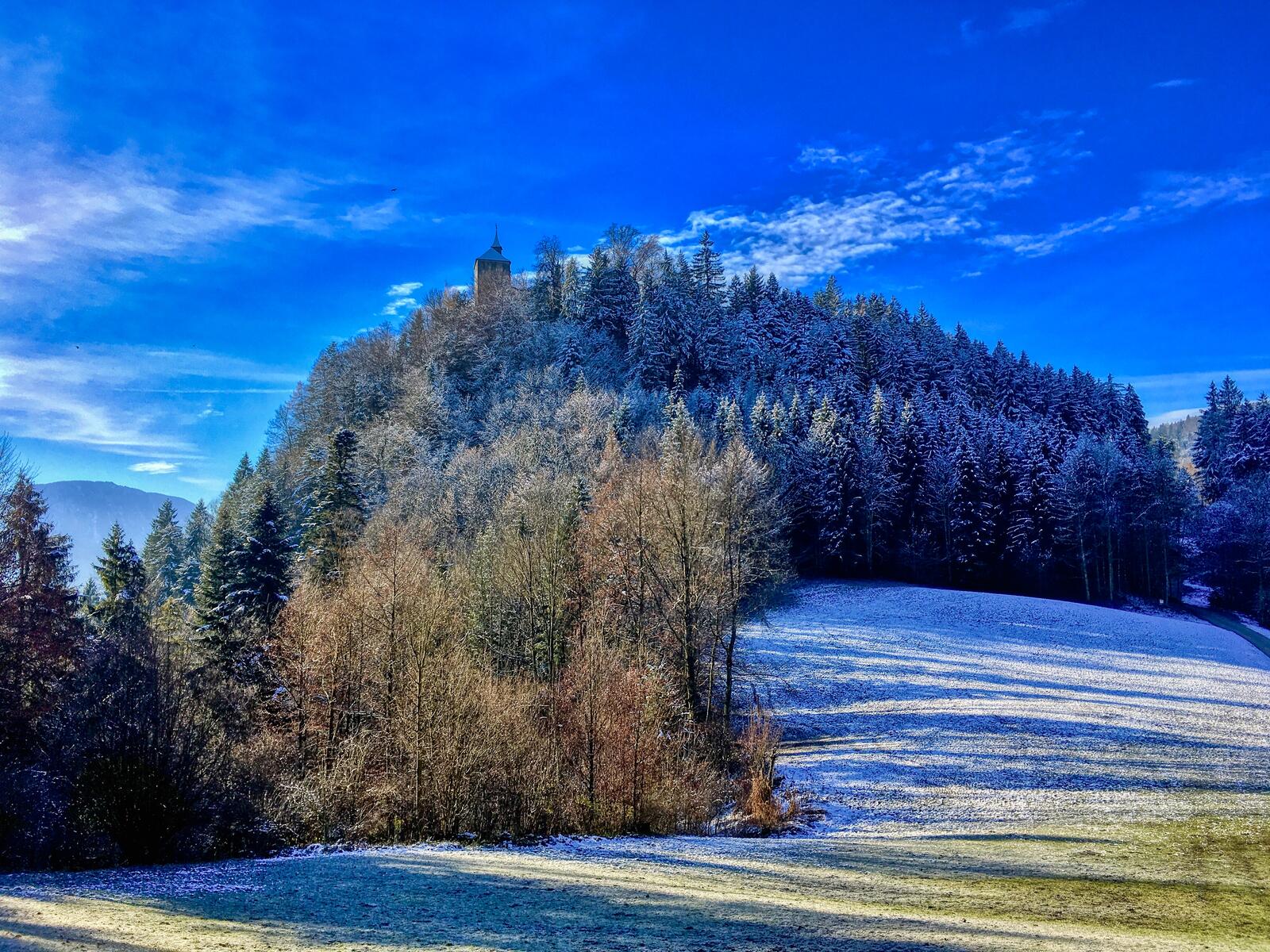 Обои Зимний лес на горе Тирберг в Тироле Австрия зима на рабочий стол