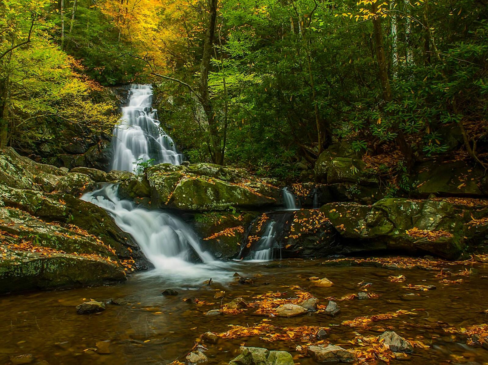 Обои Great Smoky Mountains National Park осень водопад на рабочий стол