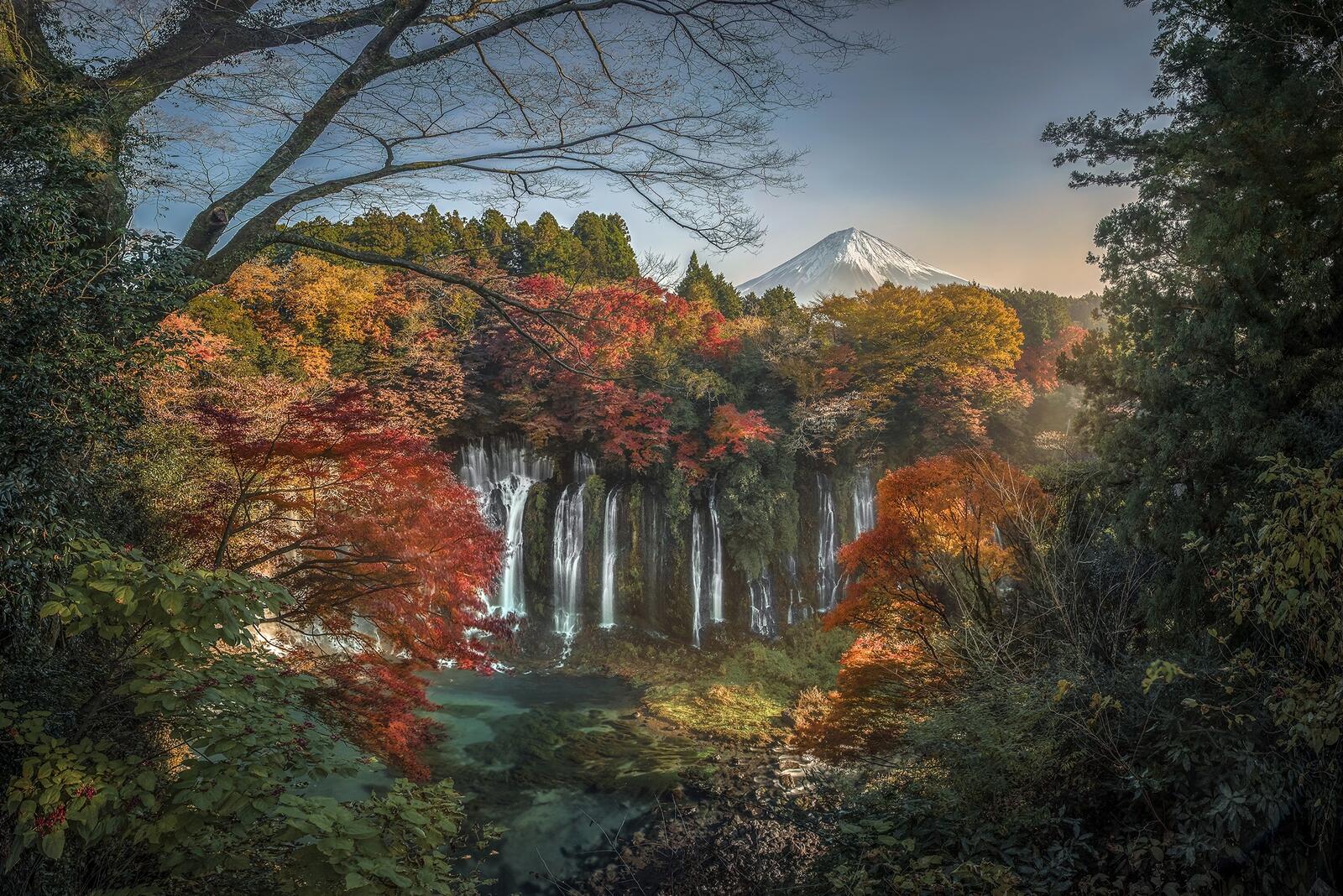 桌面上的壁纸日本 秋季 富士山
