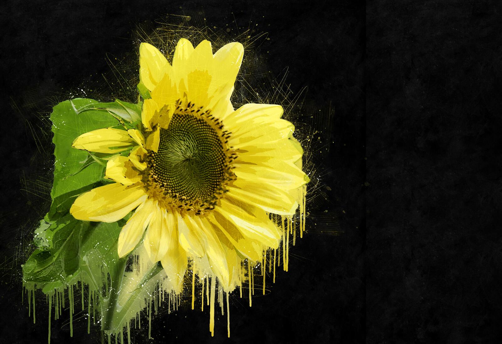 Wallpapers sunflowers flowers rendering on the desktop