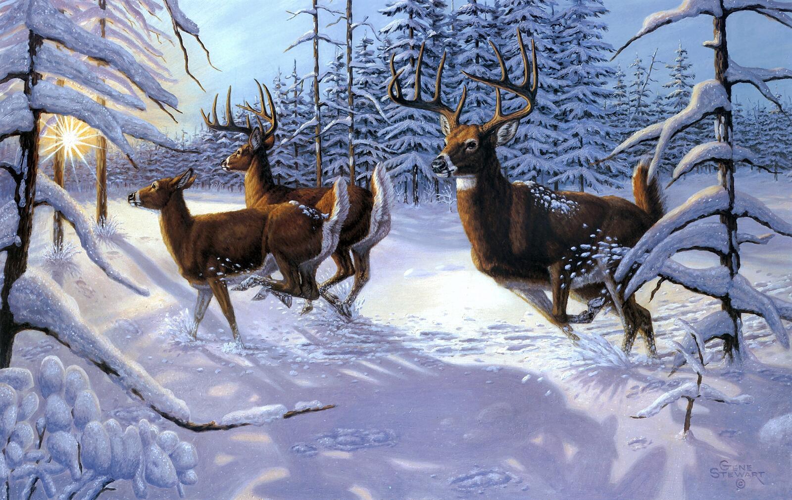 桌面上的壁纸美术 冬季 鹿