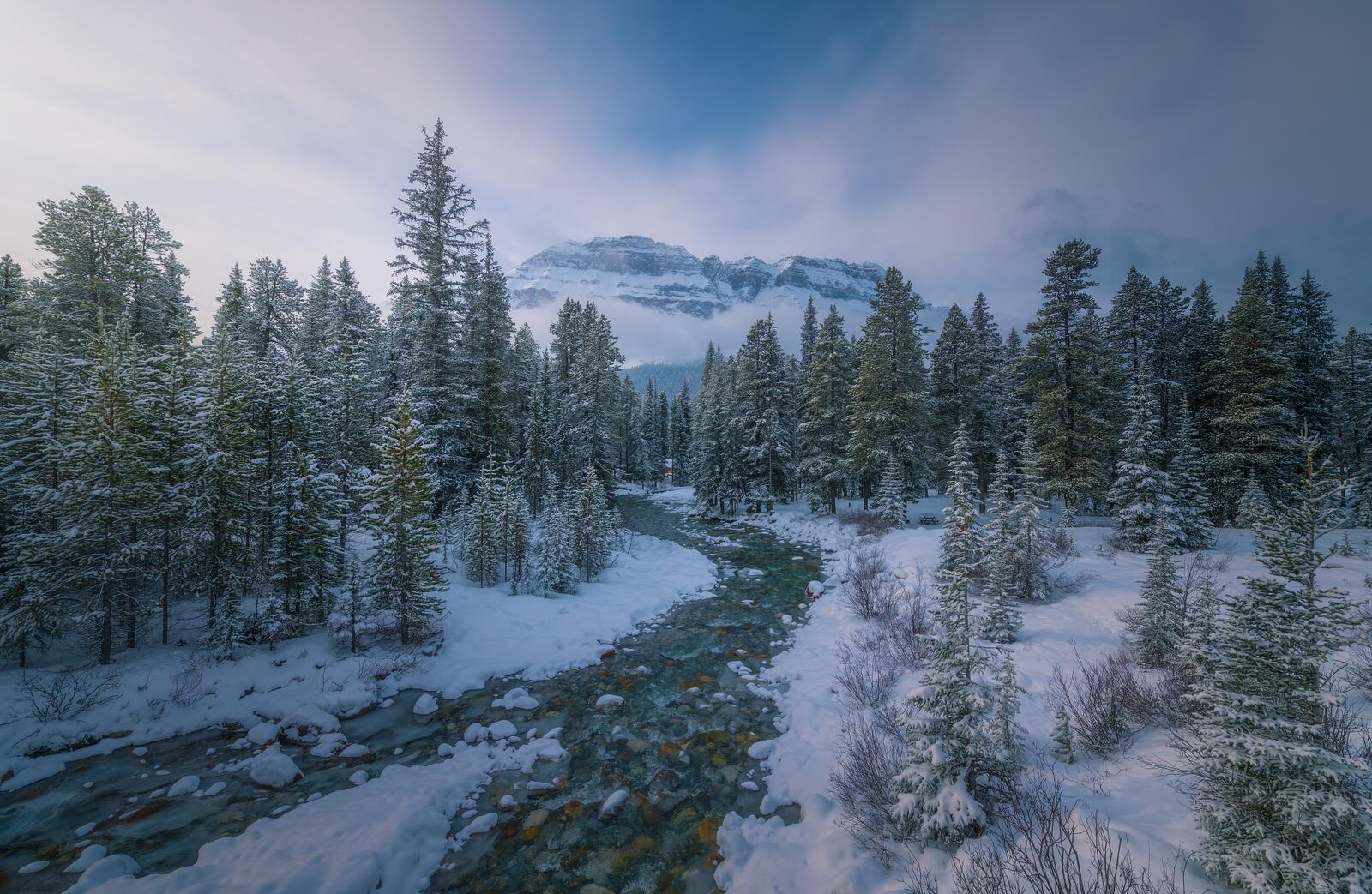 Обои Banff National Park зима река на рабочий стол