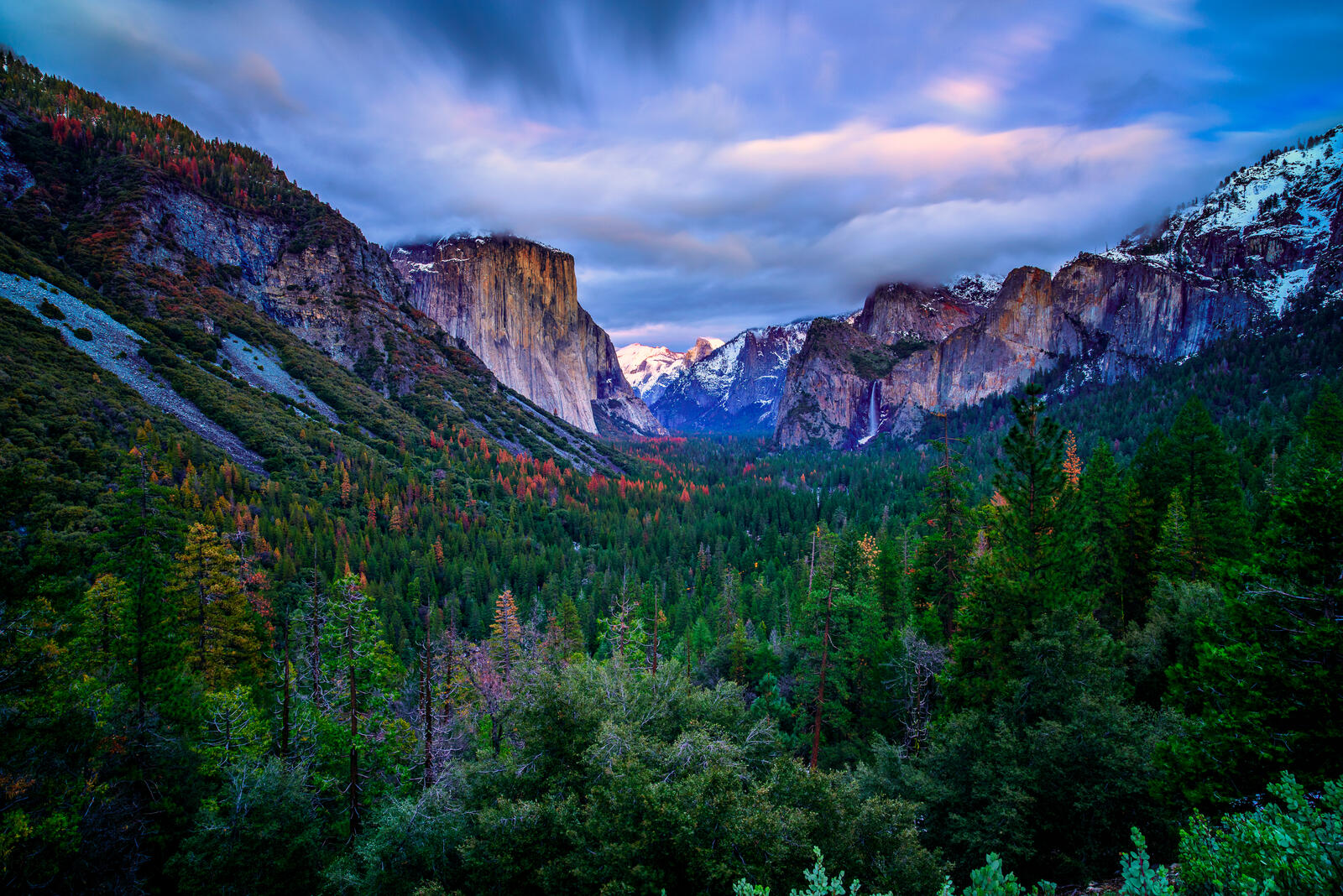 Обои пейзажи деревья национальный парк Йосемити на рабочий стол