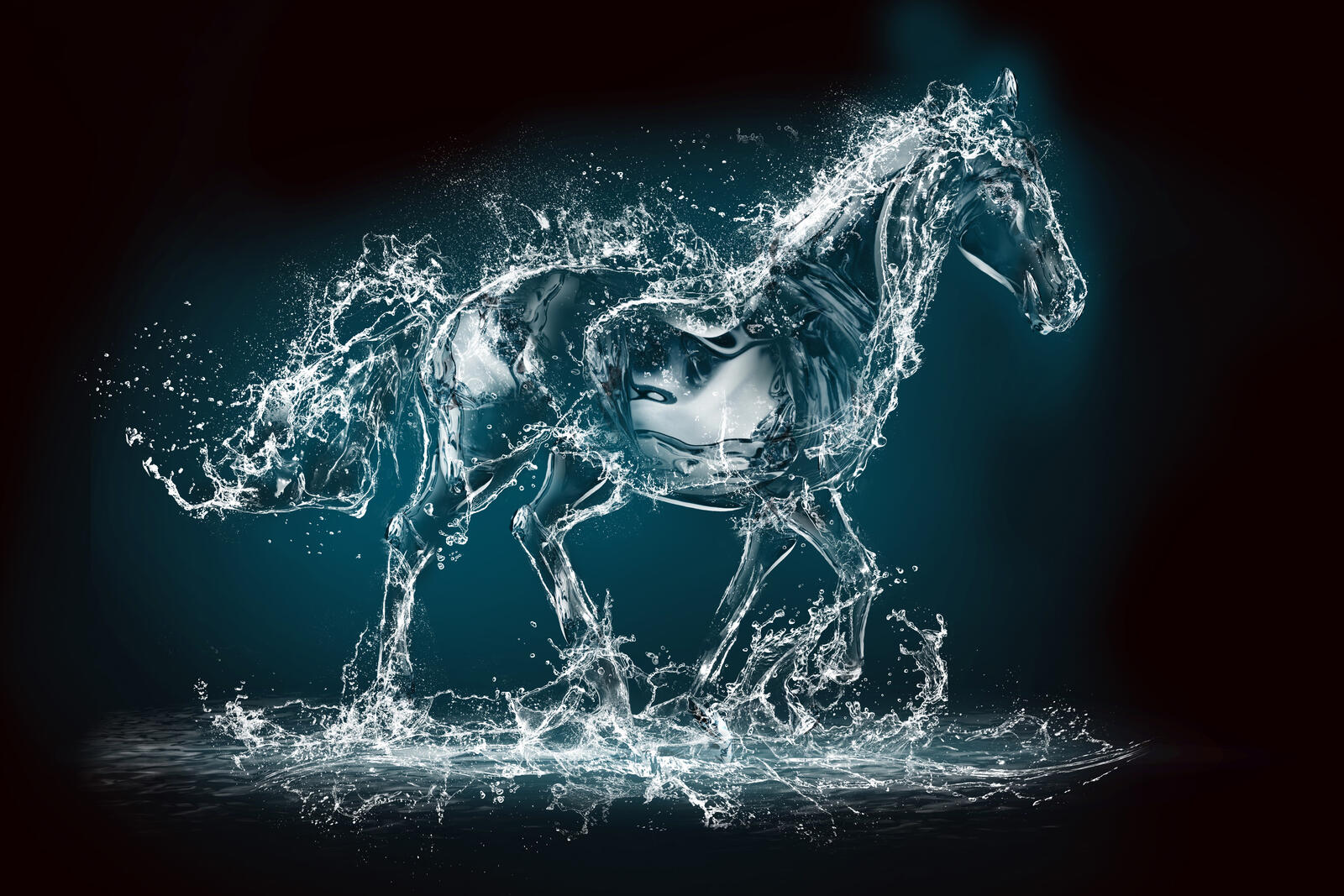 Wallpapers beautiful water horse on the desktop