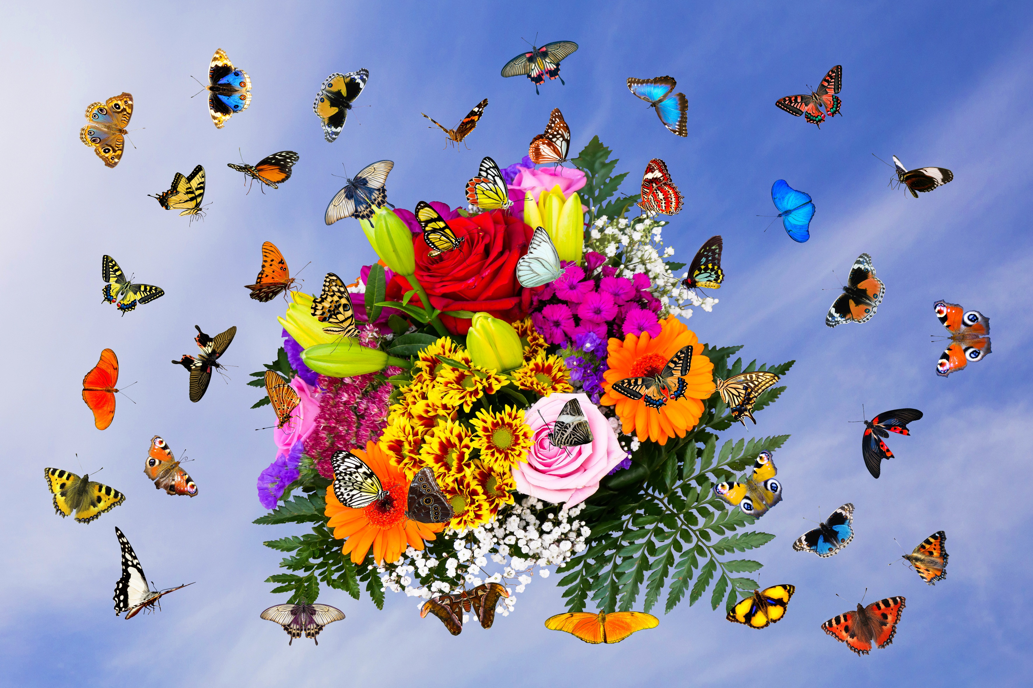Картинка день бабочек. Букет и бабочка. Бабочка на цветке. Много бабочек. Красивый букет цветов с бабочками.