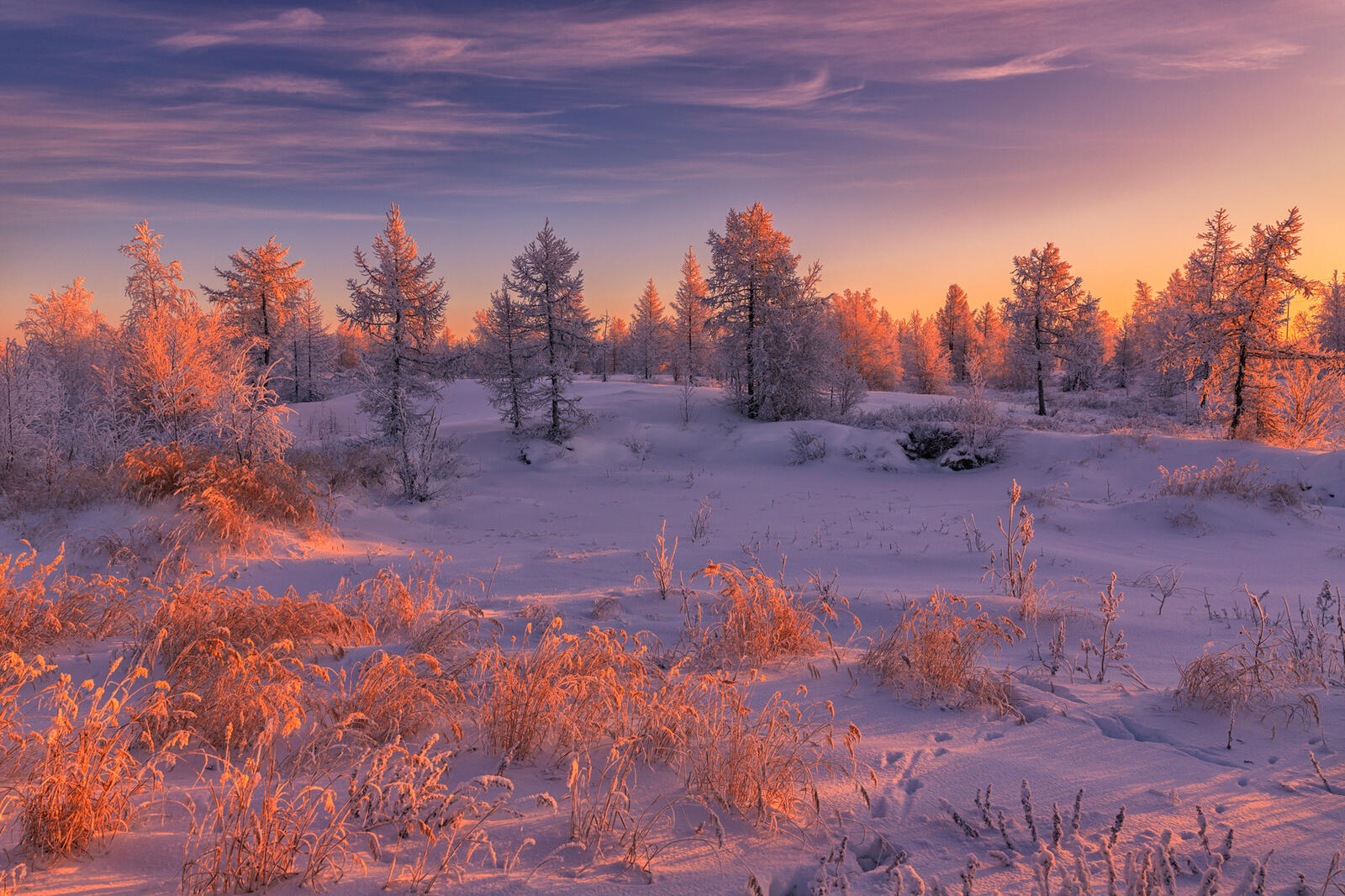 免费照片在俄罗斯的冬季日落