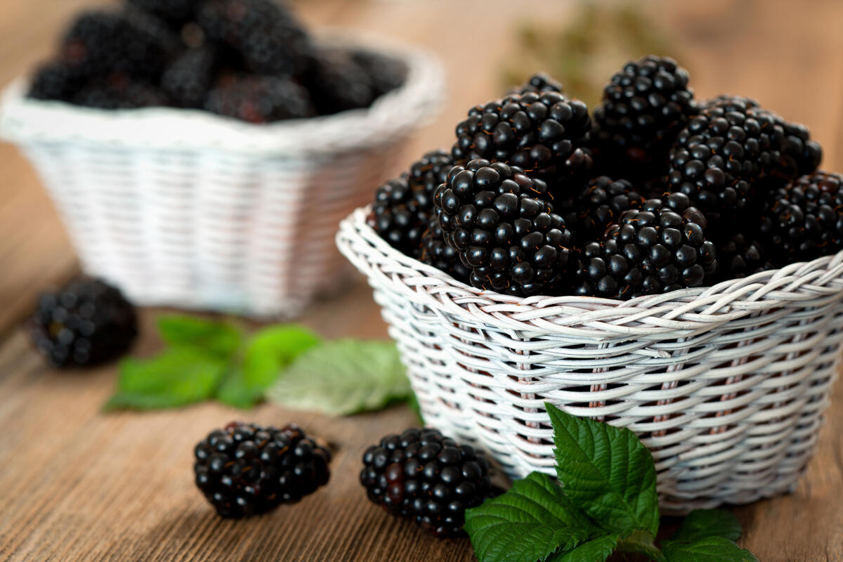 Blackberries in a twist