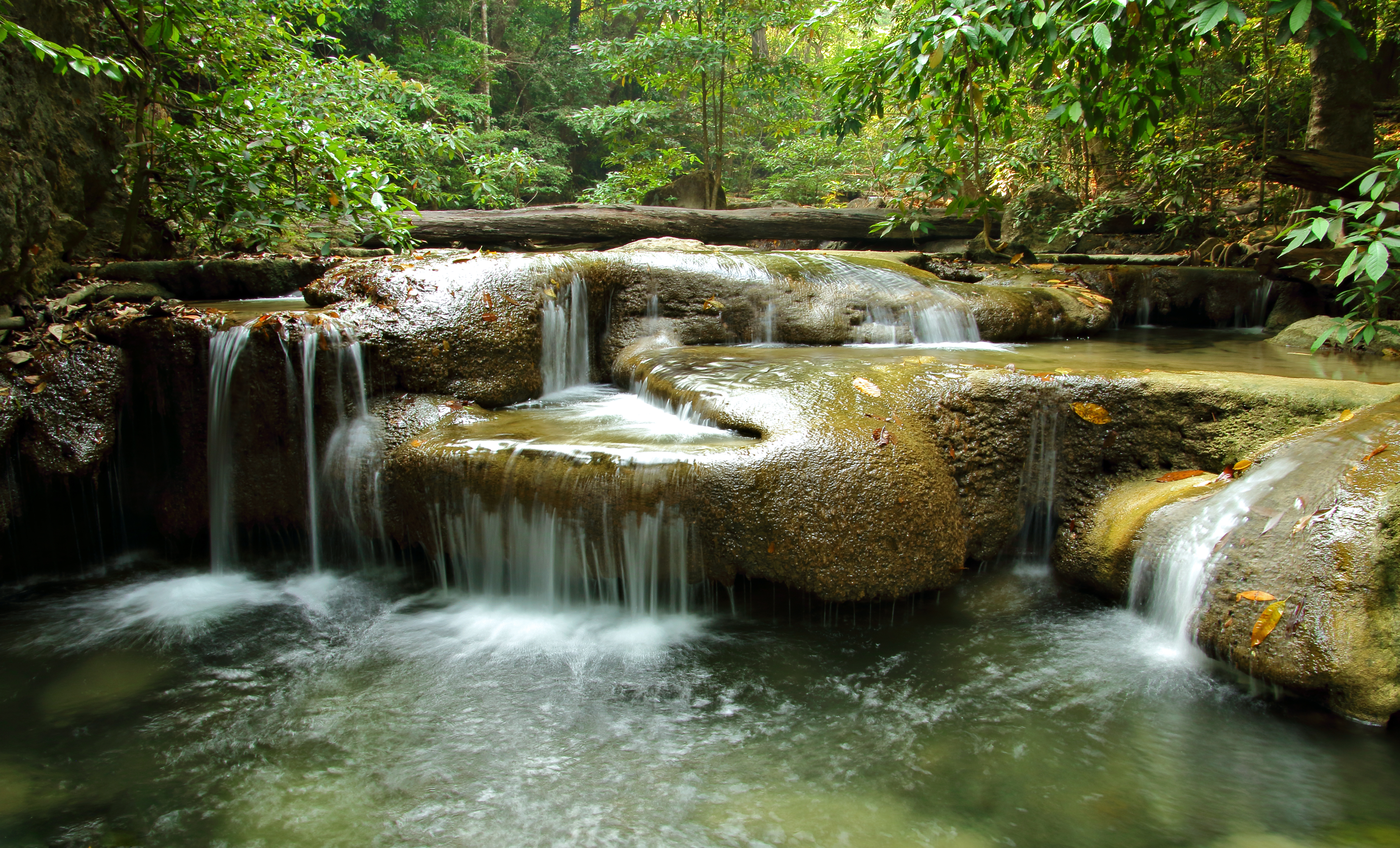 Бесплатное фото Заставка лес, водопад на монитор
