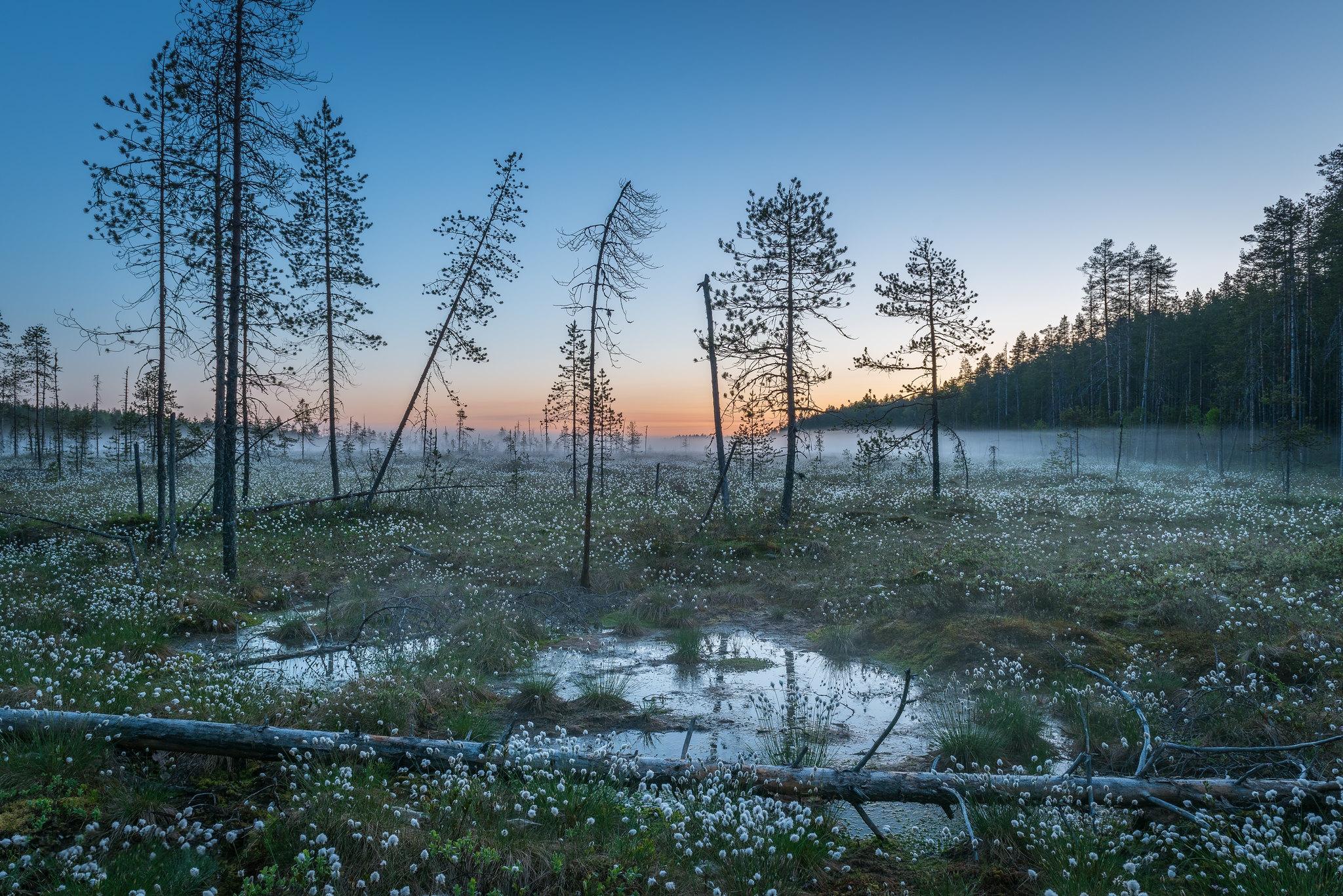 Обои закат Финляндия болото на рабочий стол