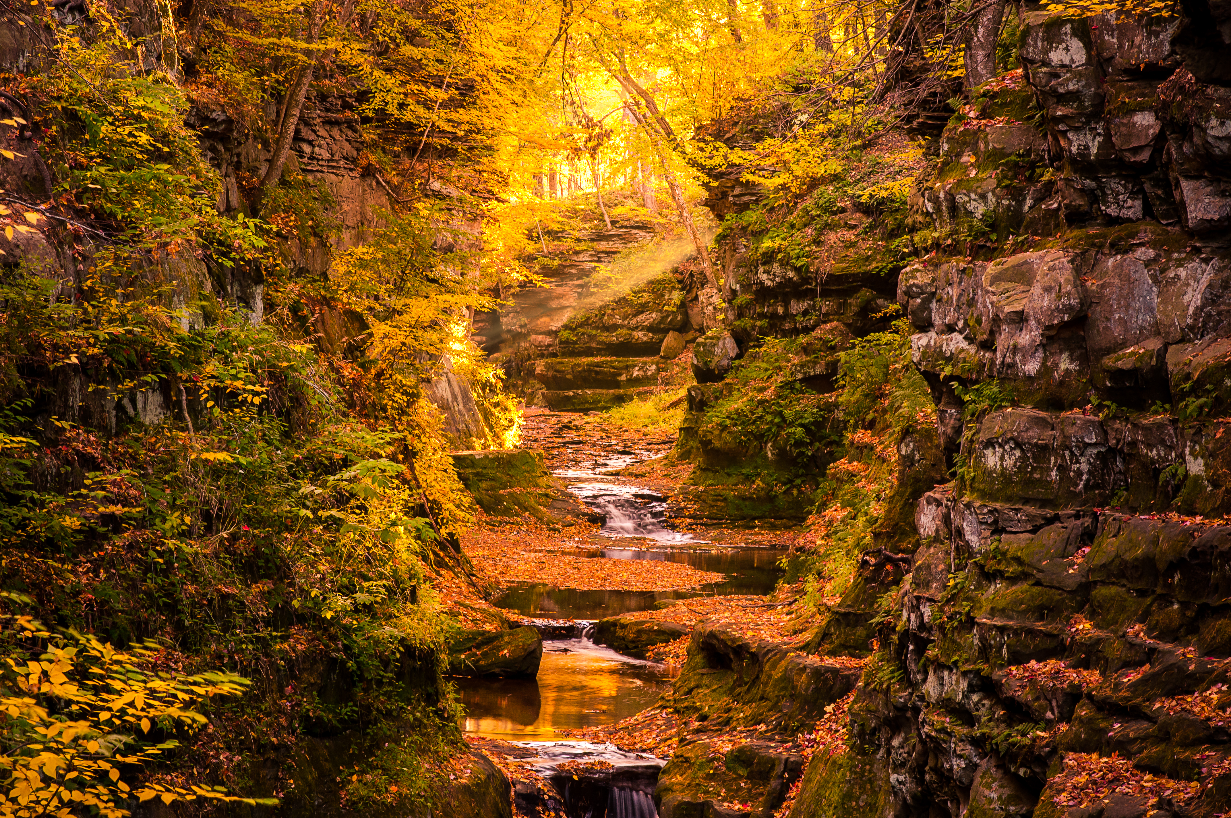 Wallpapers waterfall autumn leaves nature on the desktop