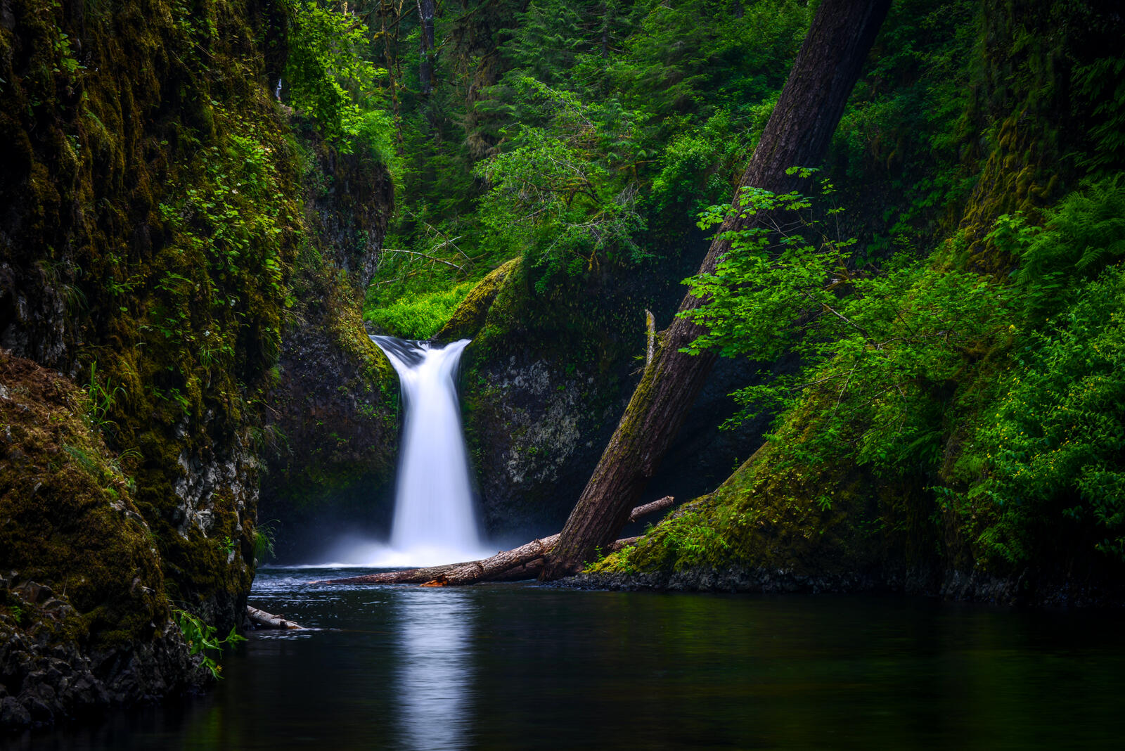 Wallpapers nature Columbia River Gorge Oregon on the desktop