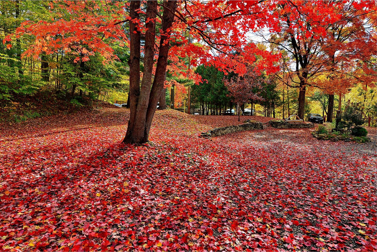 Wallpapers autumn colors autumn colours autumn leaves on the desktop