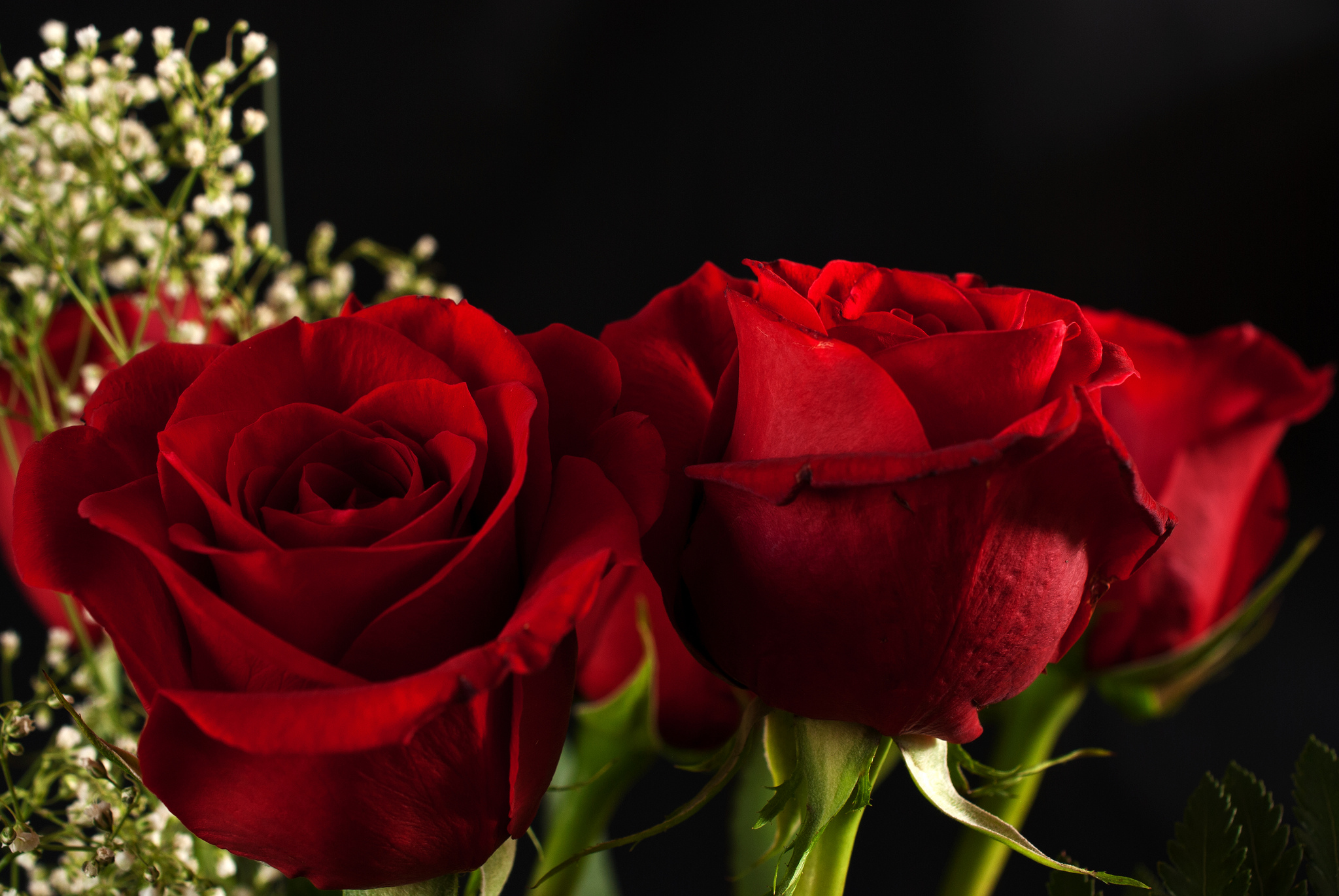 Бесплатное фото Три красный розы