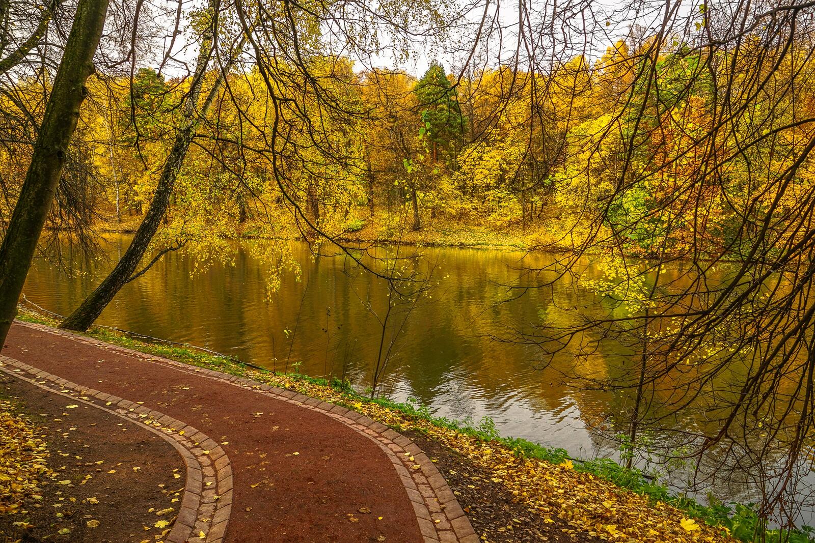 Обои Москва пейзаж осенние листья на рабочий стол