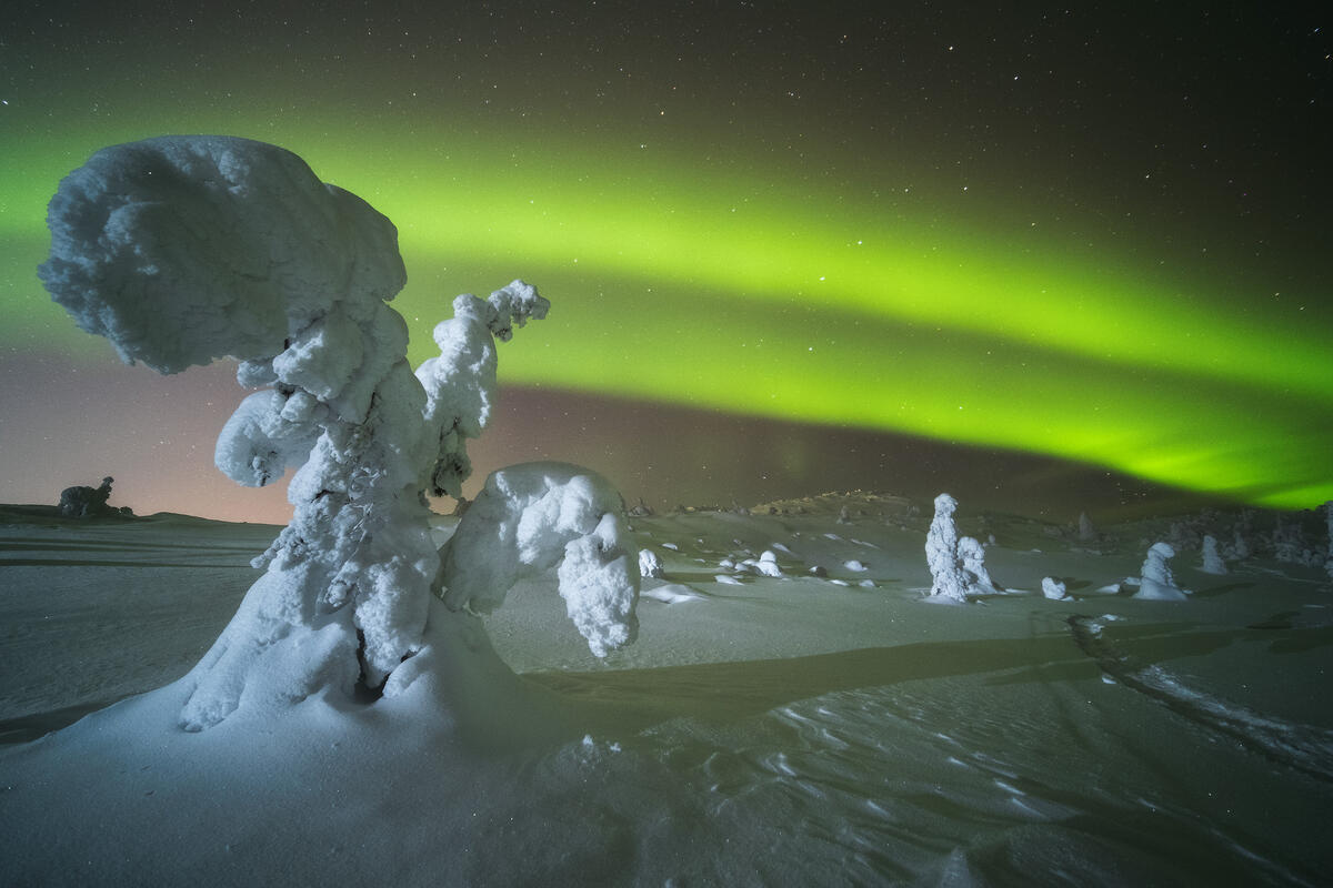 毛索普卡上空的北极光