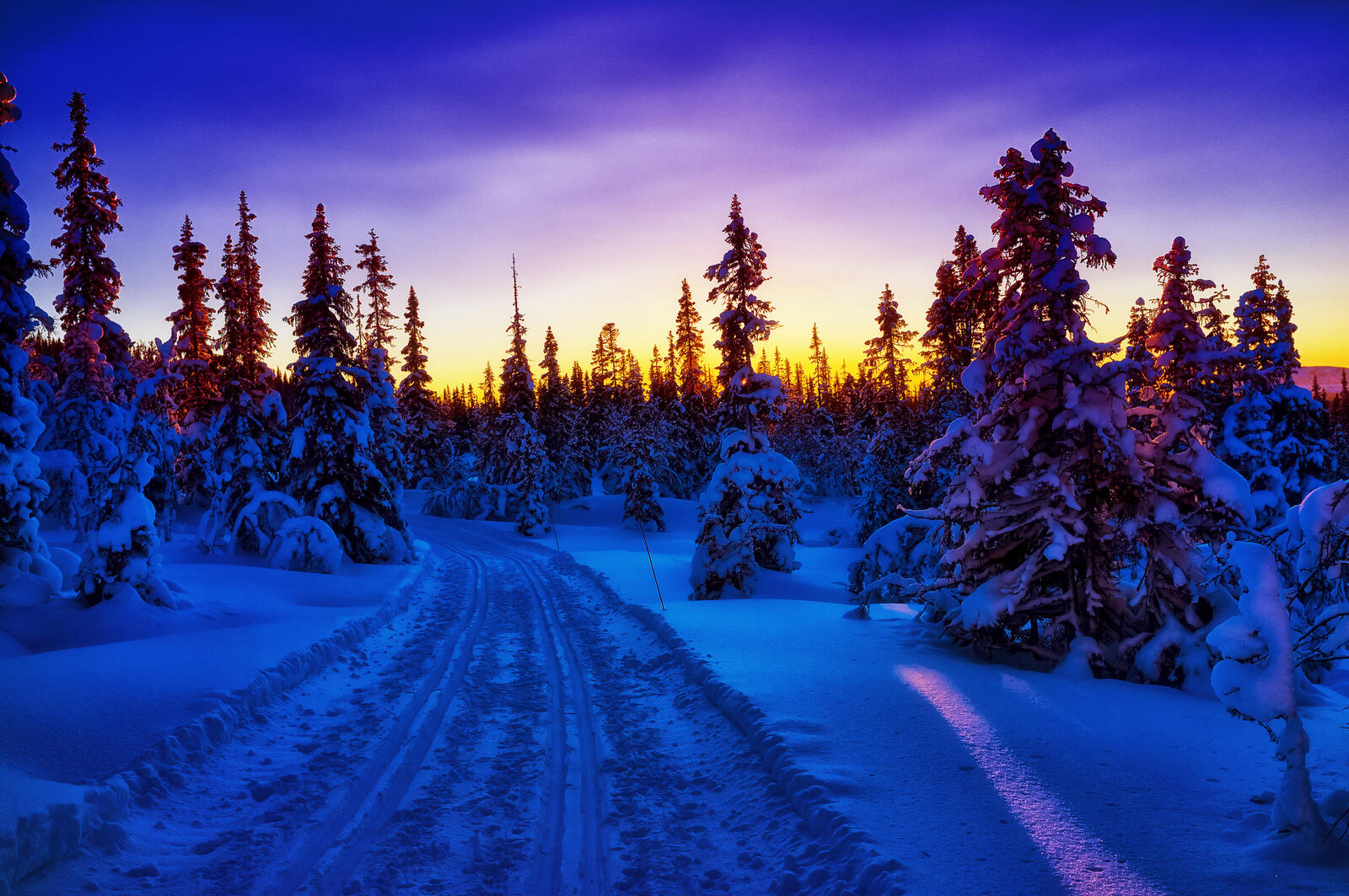 Обои зима деревья Норвегия на рабочий стол