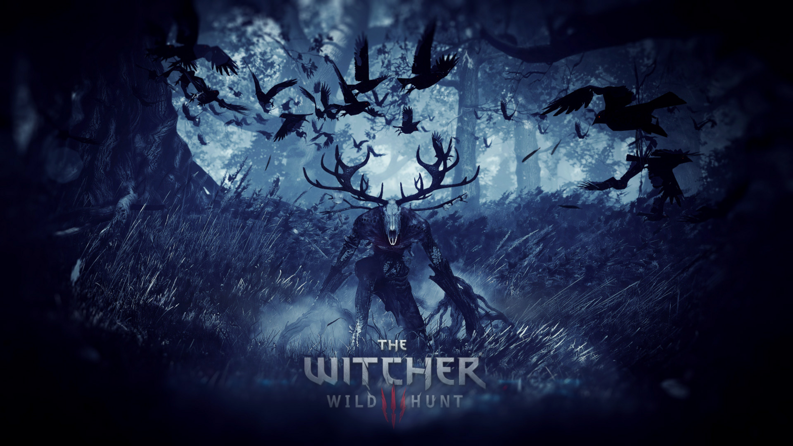 Wallpapers the witcher 3: the wild hunt the witcher critter on the desktop