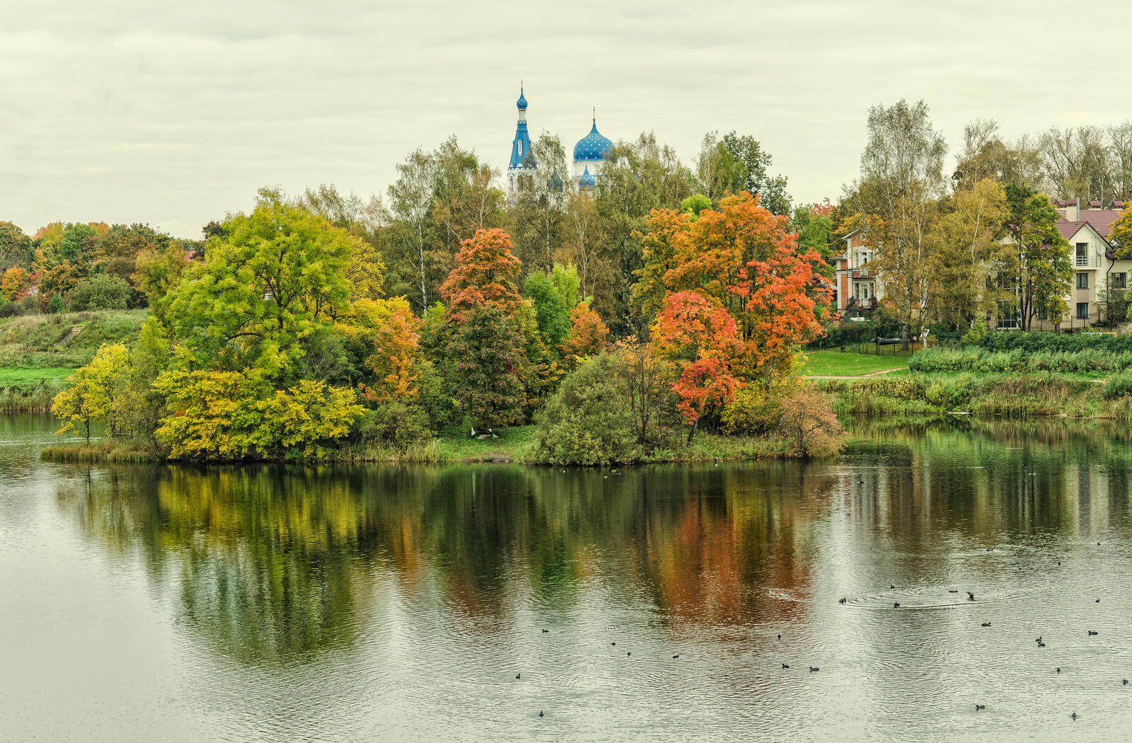 Free photo Shore of the Black lake in the fall of Gatchina