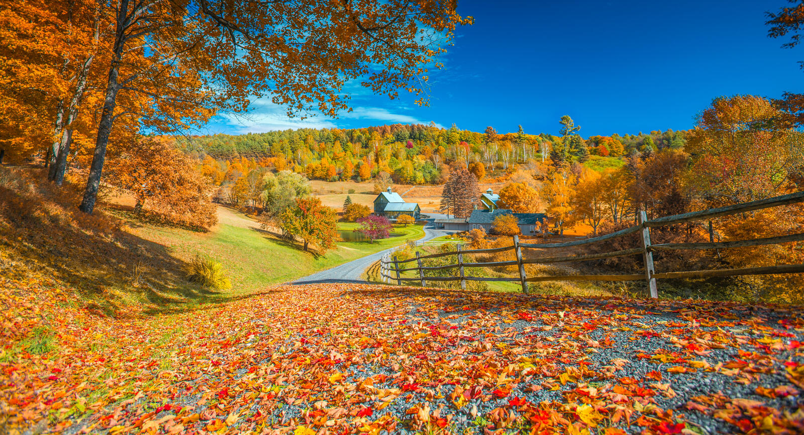 Обои Autumn in Vermont осень дорога на рабочий стол