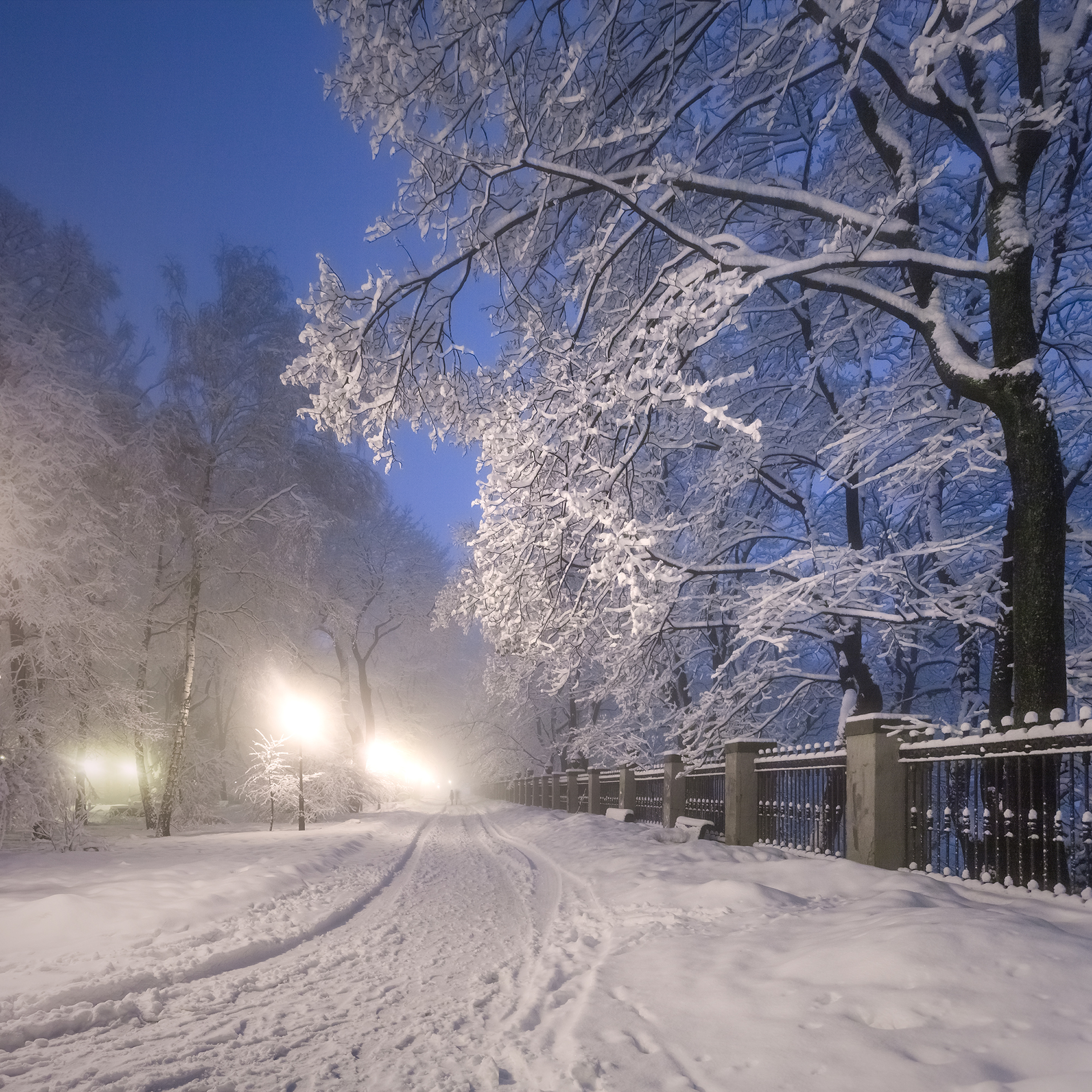 Фото бесплатно зима, ночь, парк