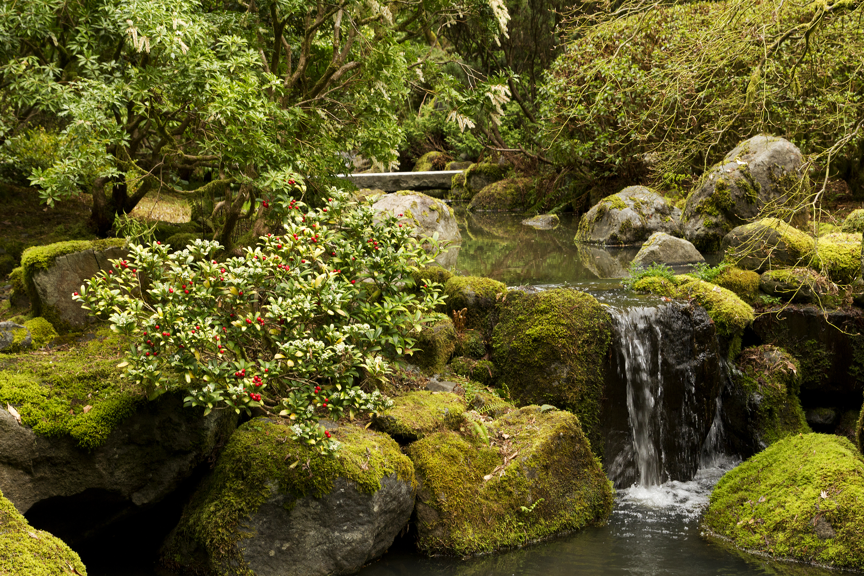 Photo free Gardens, Waterfalls, Stones
