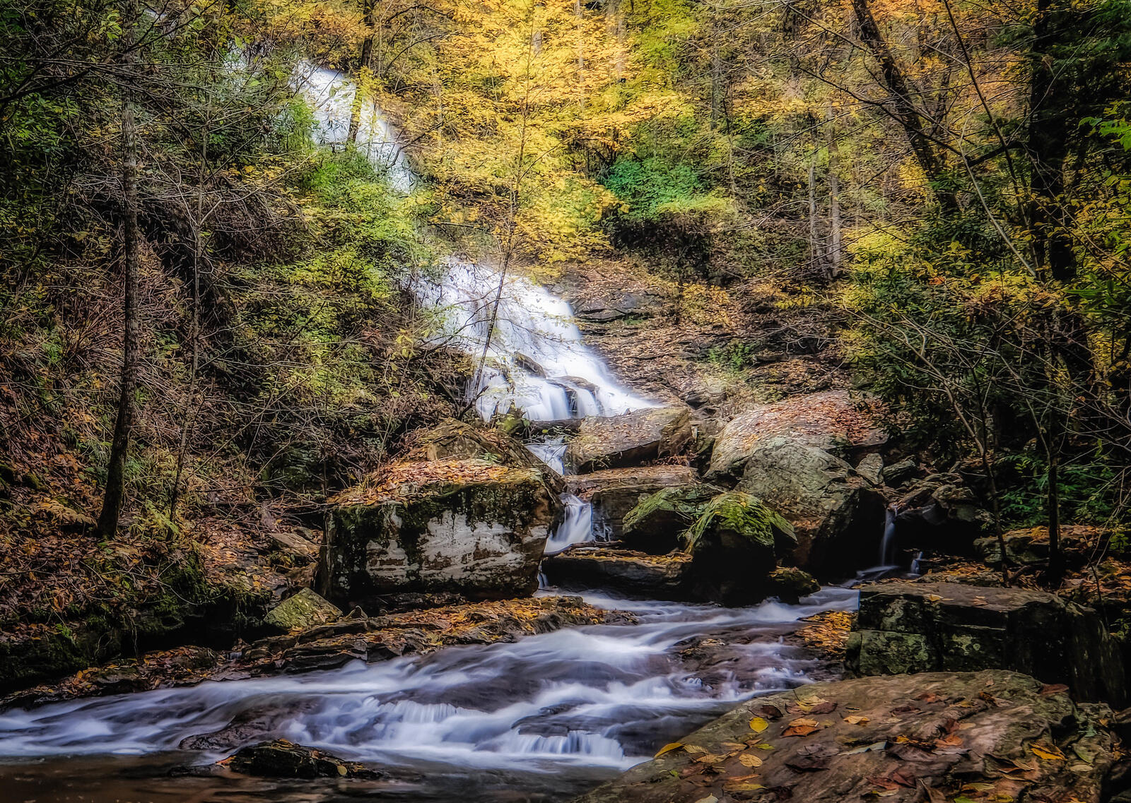 Бесплатное фото Обои на телефон осень, лес, водопад