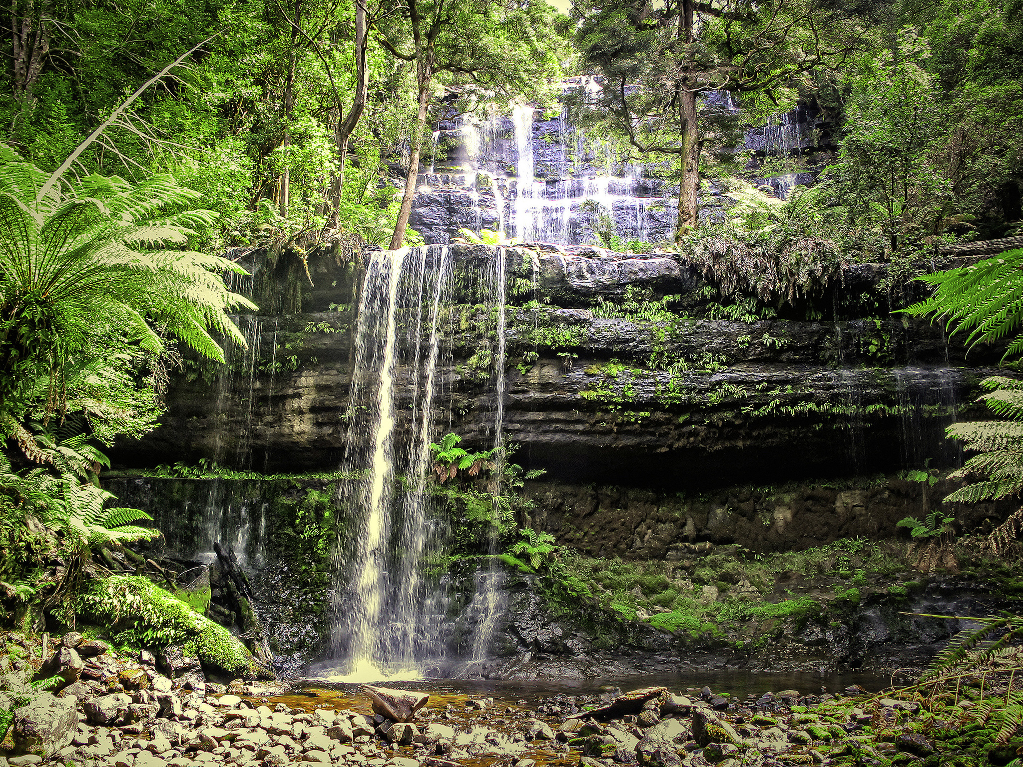 Wallpapers waterfall jungle Tasmania on the desktop