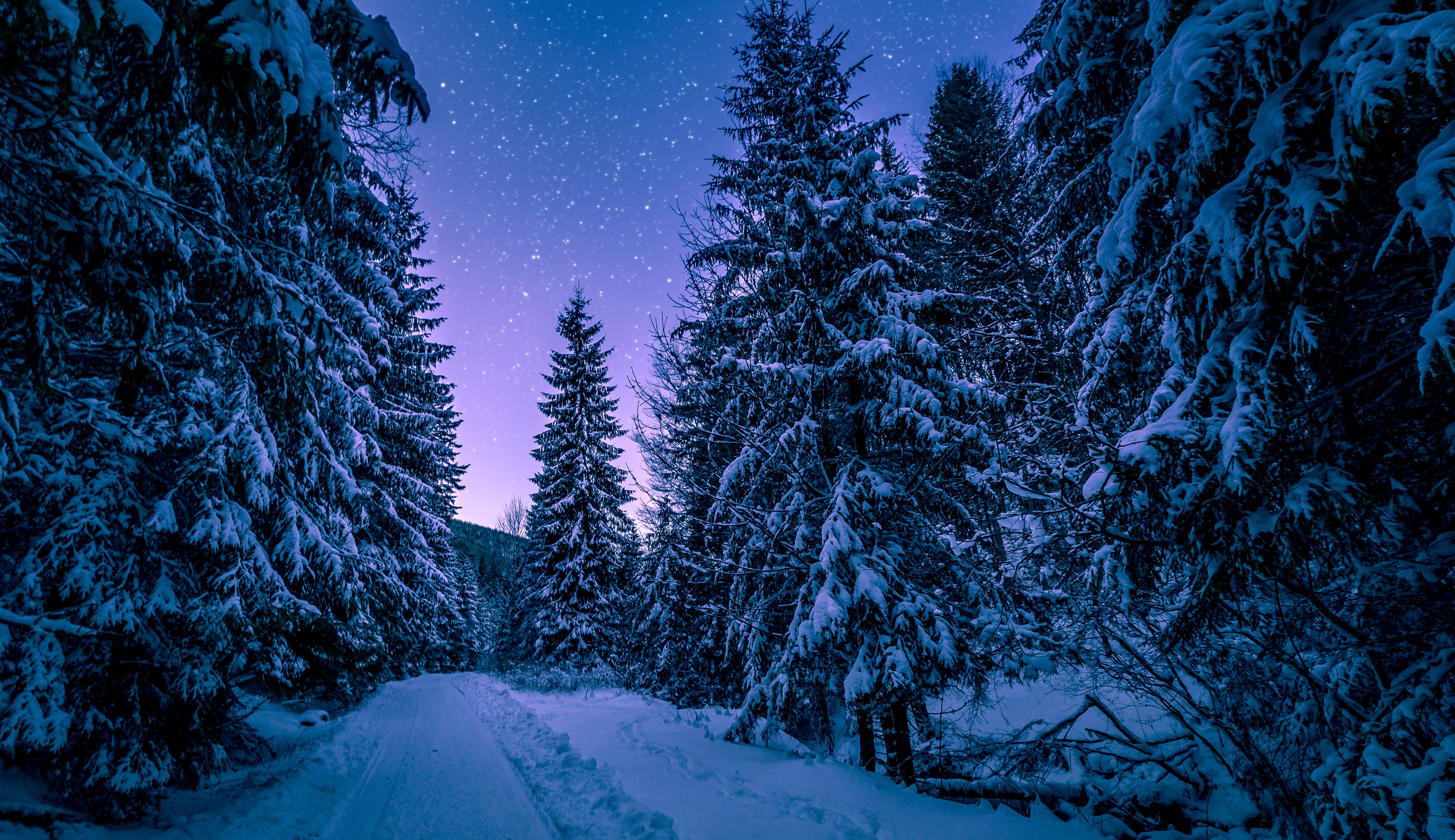 Фото бесплатно зима, сумерки, природа