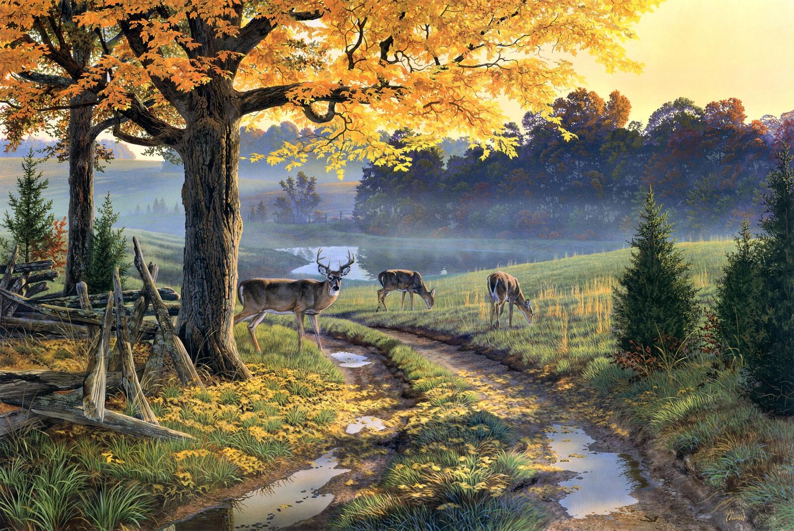 桌面上的壁纸美术 秋季 乡间小路