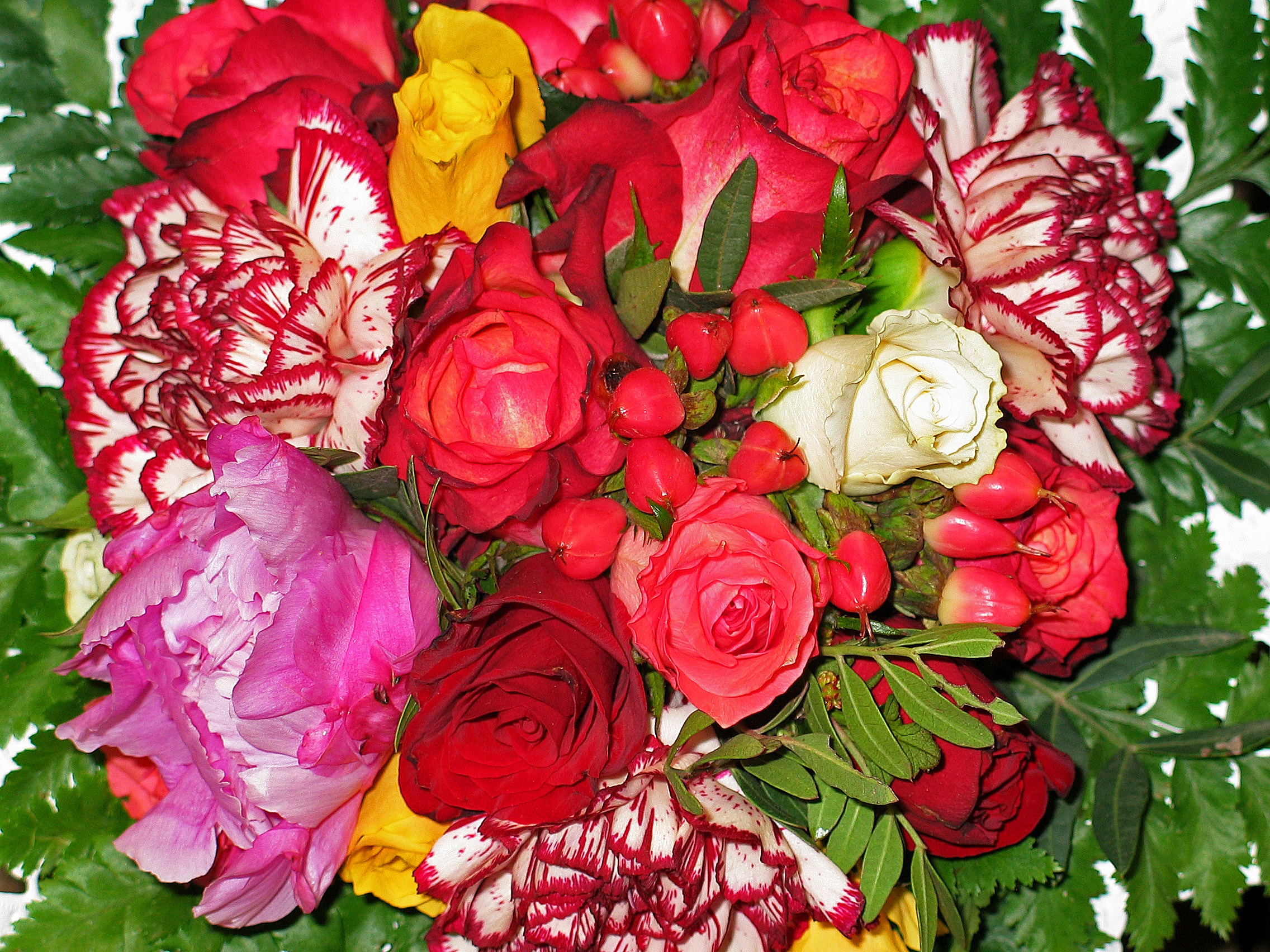 Обои флора букет цветочные на рабочий стол