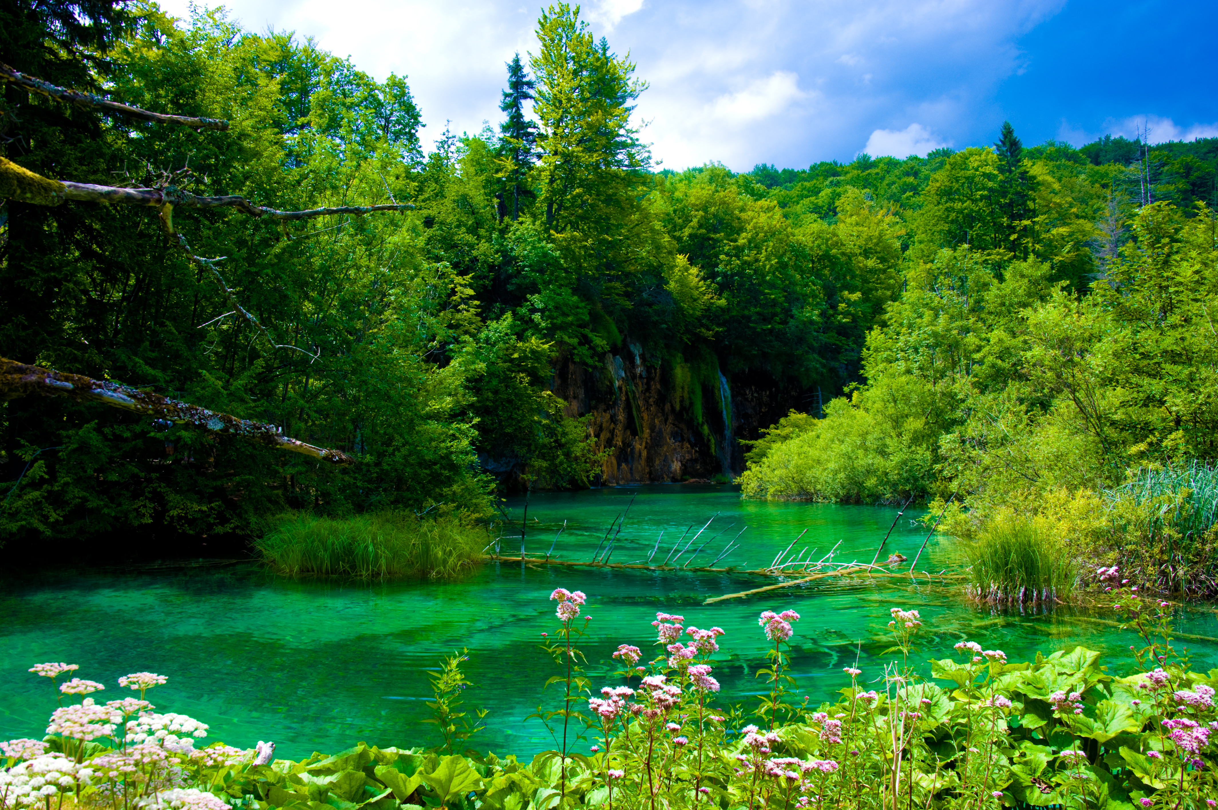 Хорватия Плитвицкие озера лето