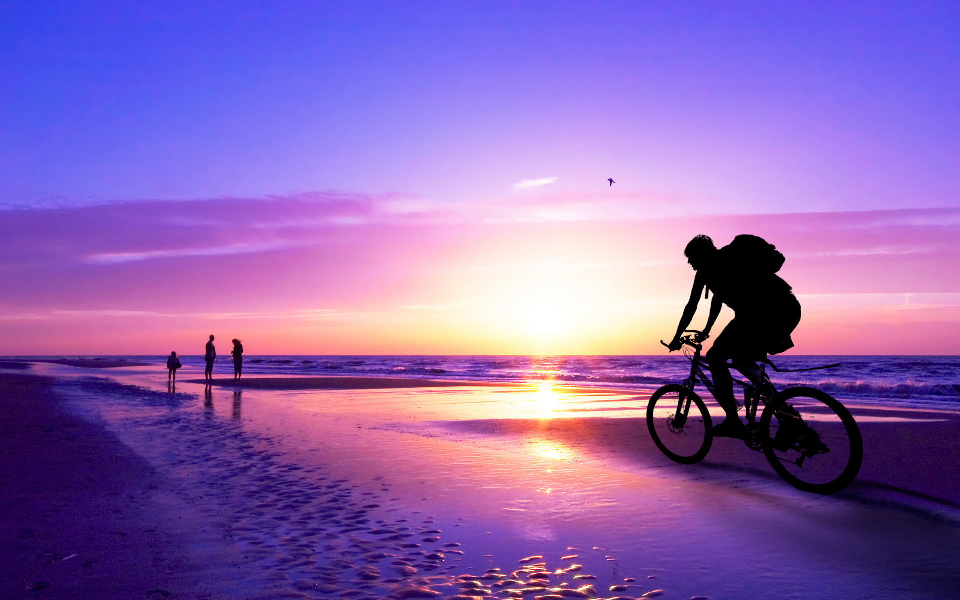 Фото бесплатно пляжи, велосипеды, дощатый настил
