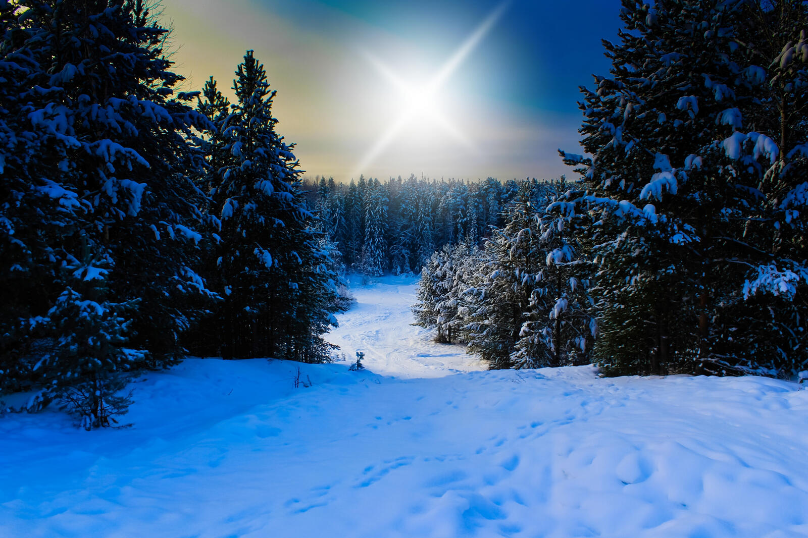 Wallpapers Russian Federation winter snow on the desktop