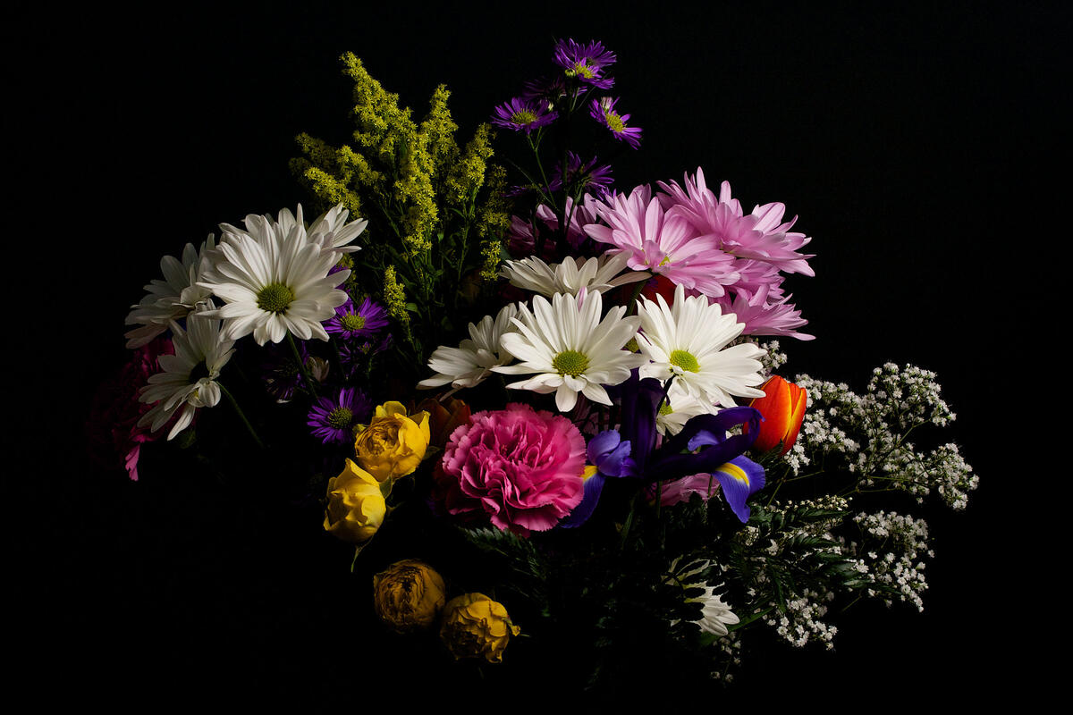 Красочный букет цветов на черном фоне