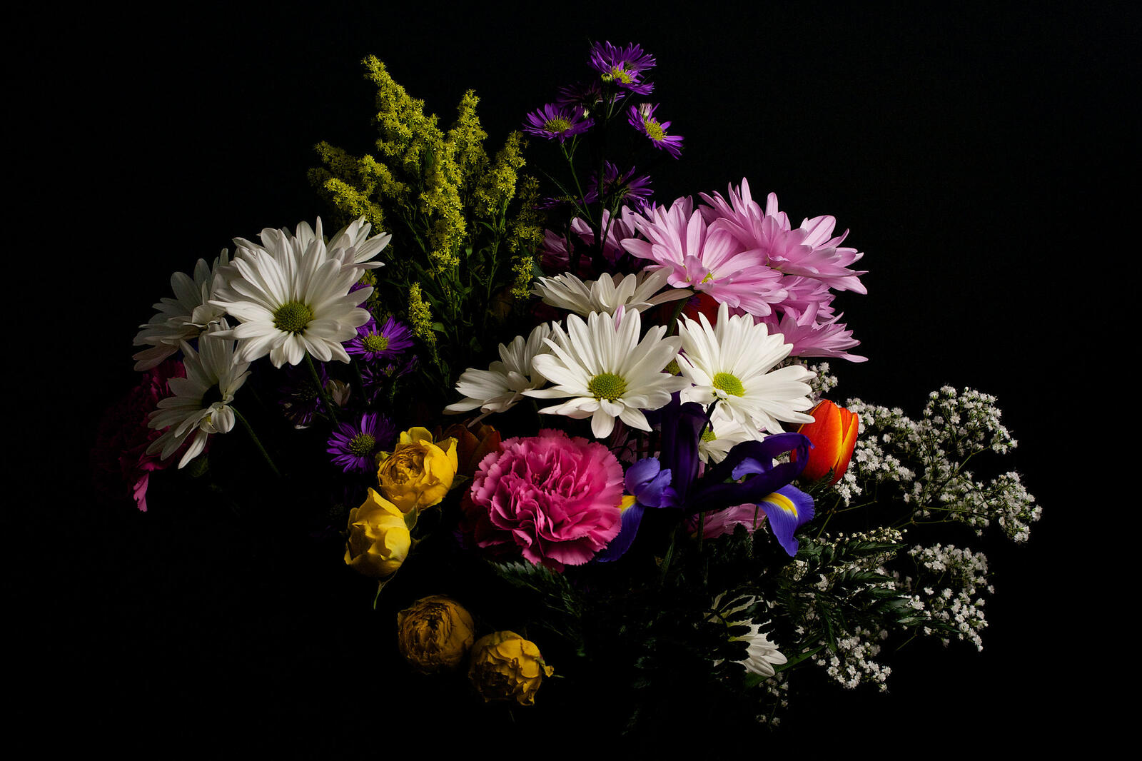 Бесплатное фото Красочный букет цветов на черном фоне