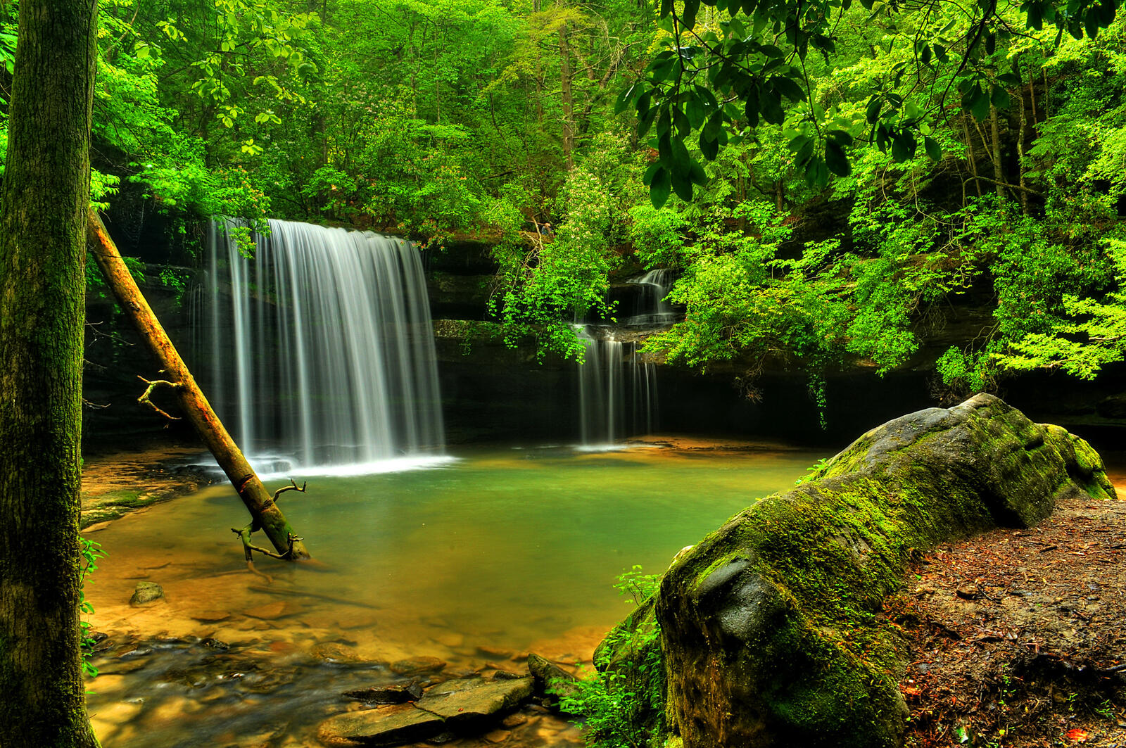 Wallpapers Caney Falls a cozy place in the forest waterfall on the desktop