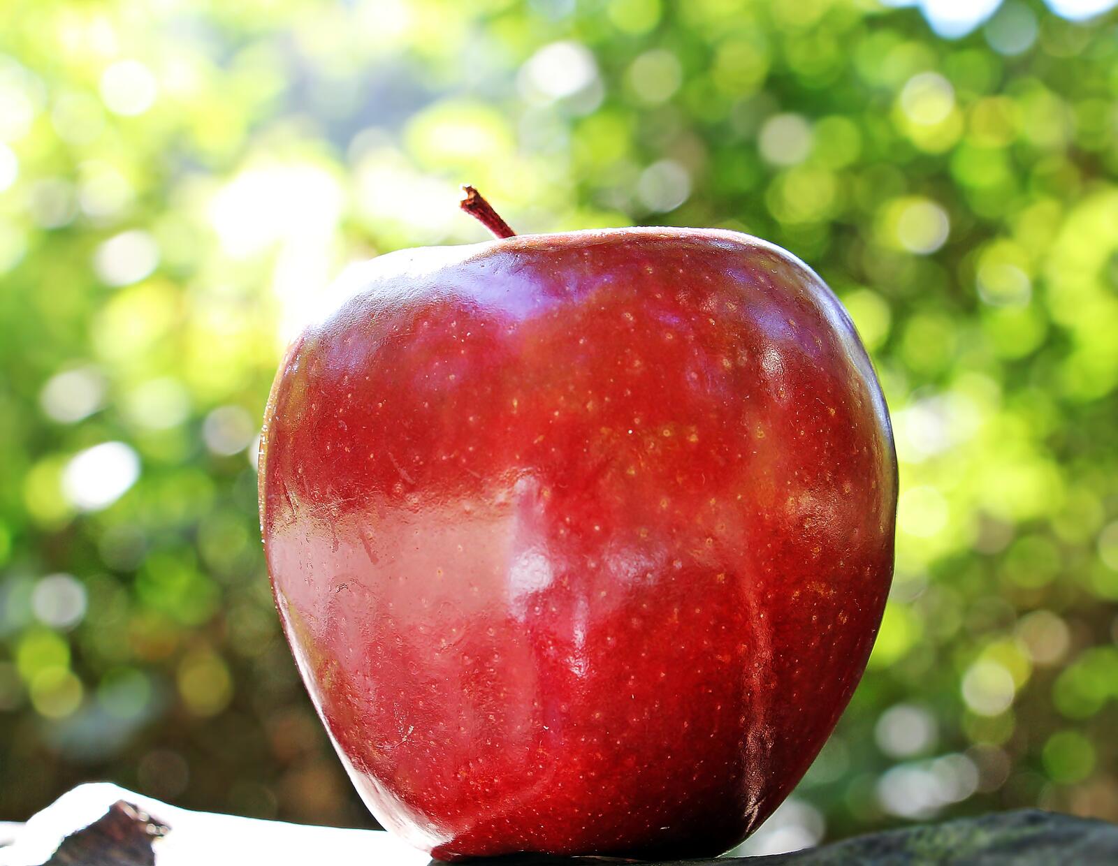 Обои яблоко бок фрукты на рабочий стол