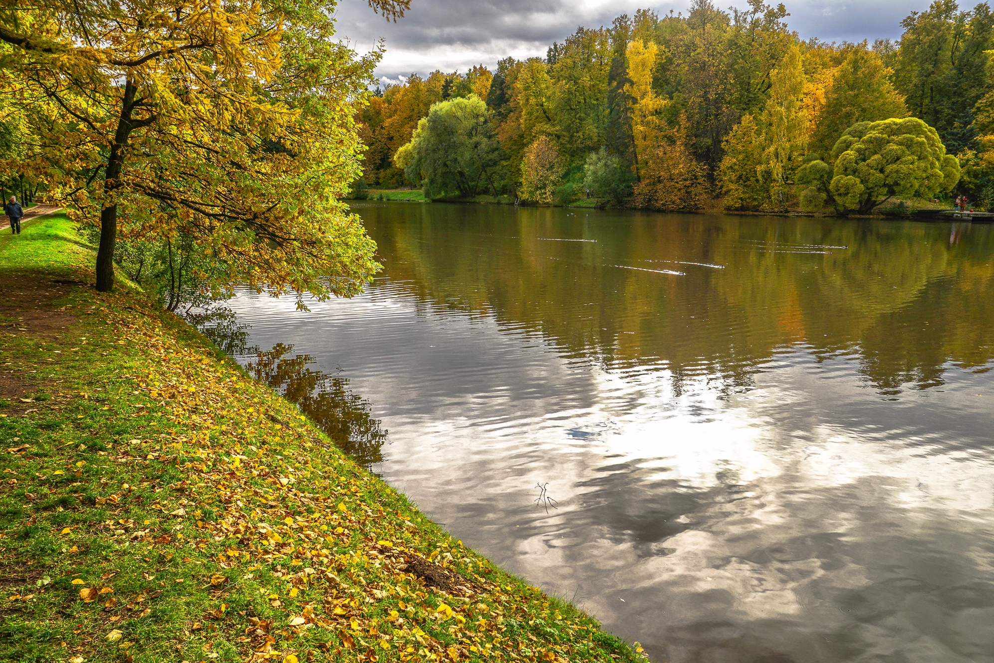 Царицыно пруд фото осенью