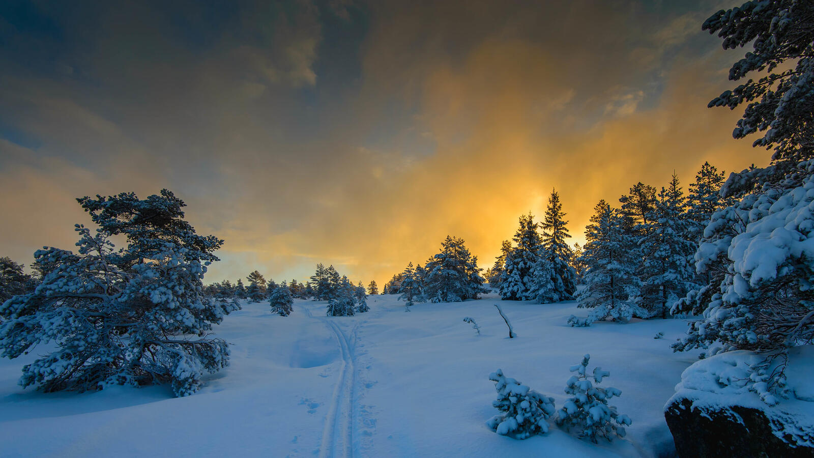 Wallpapers Norway trails snow on the desktop