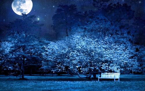Красочная ночь с луной