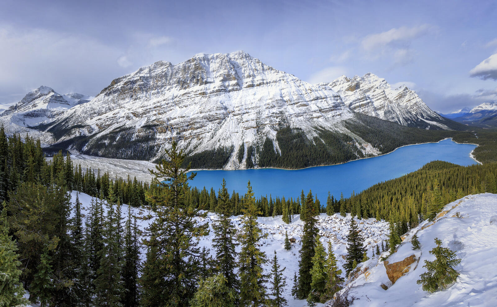 Wallpapers forest trees Peyto Lake on the desktop