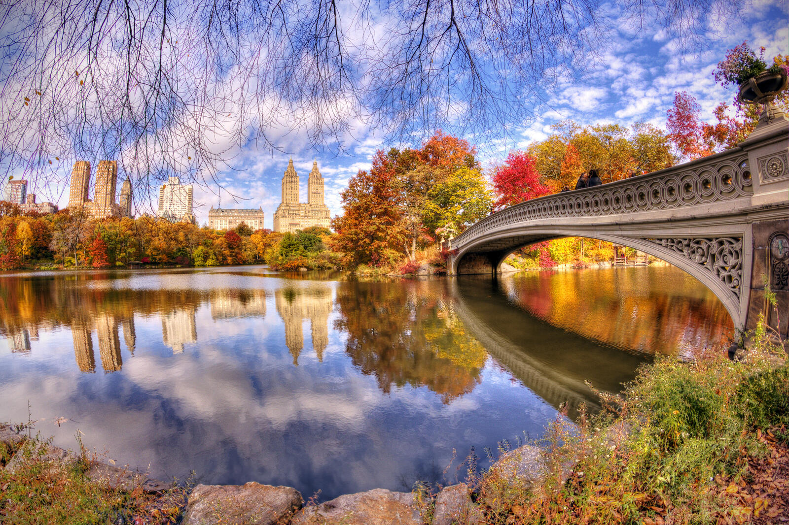 桌面上的壁纸中央公园 秋季 纽约