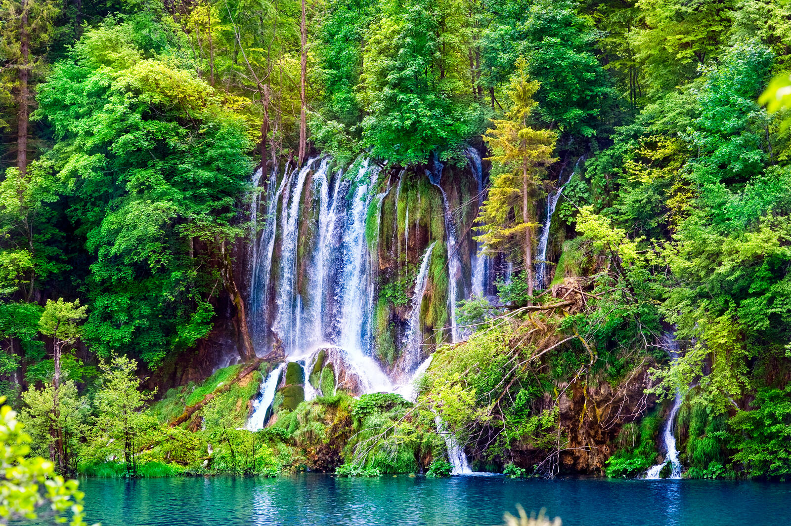 Wallpapers Small lake waterfall forest on the desktop