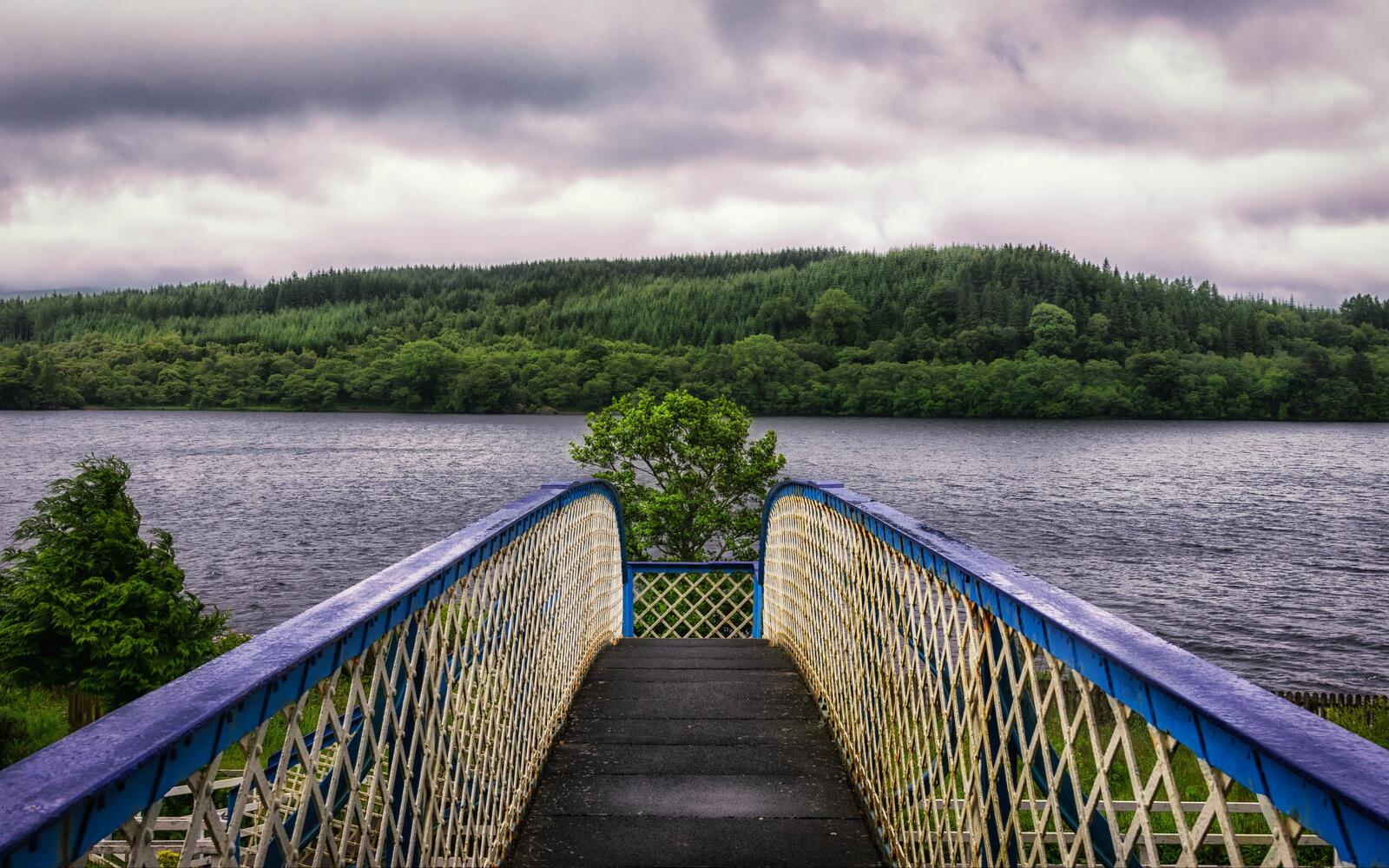 Free photo Bridge in the lake