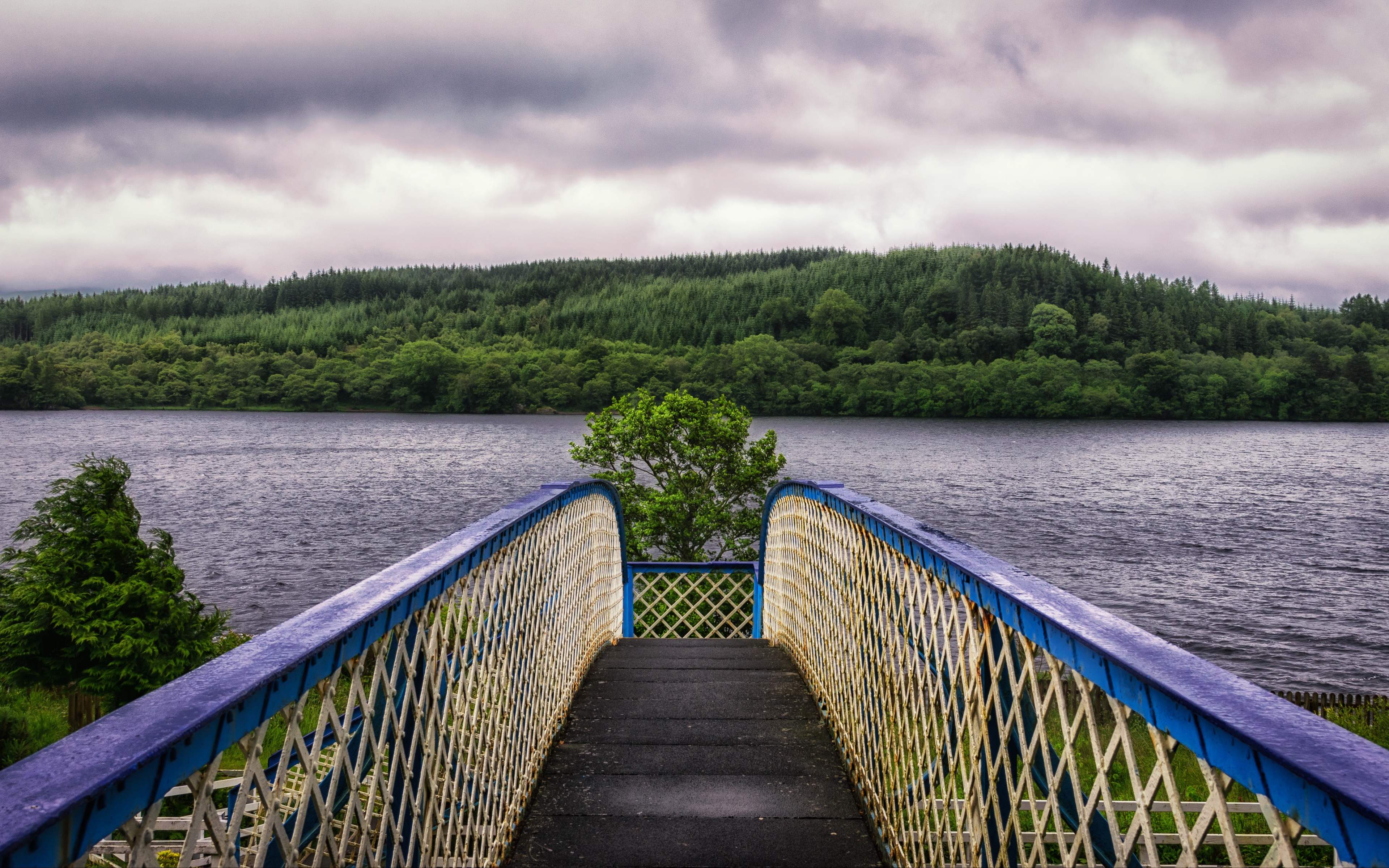 Bridge in the lake · бесплатное фото