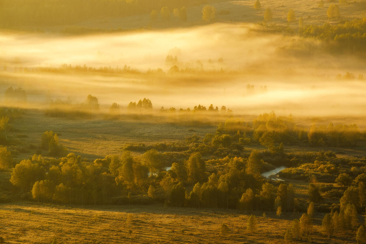 Утренний туман в Тигирекском заповеднике
