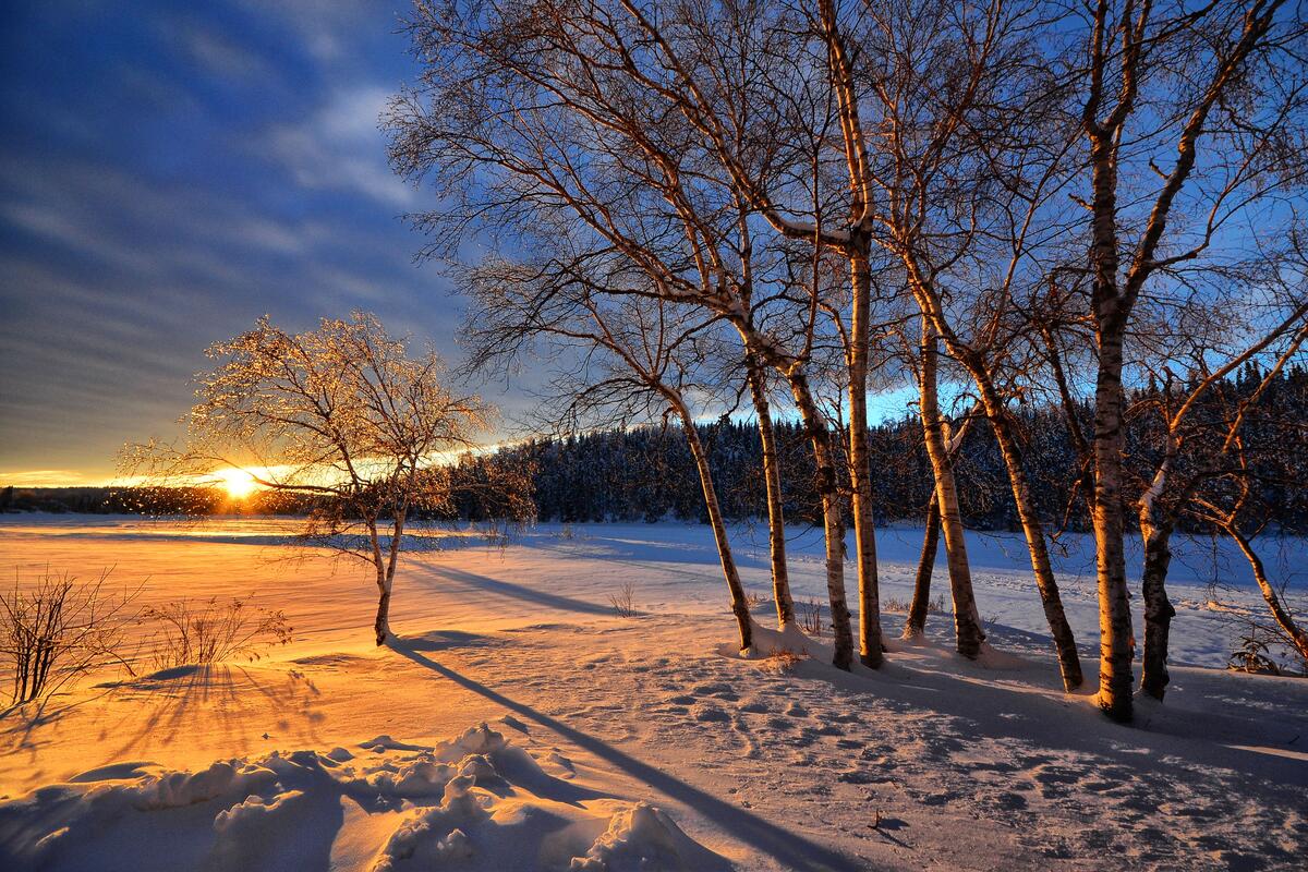 Зимний закат солнца и поле