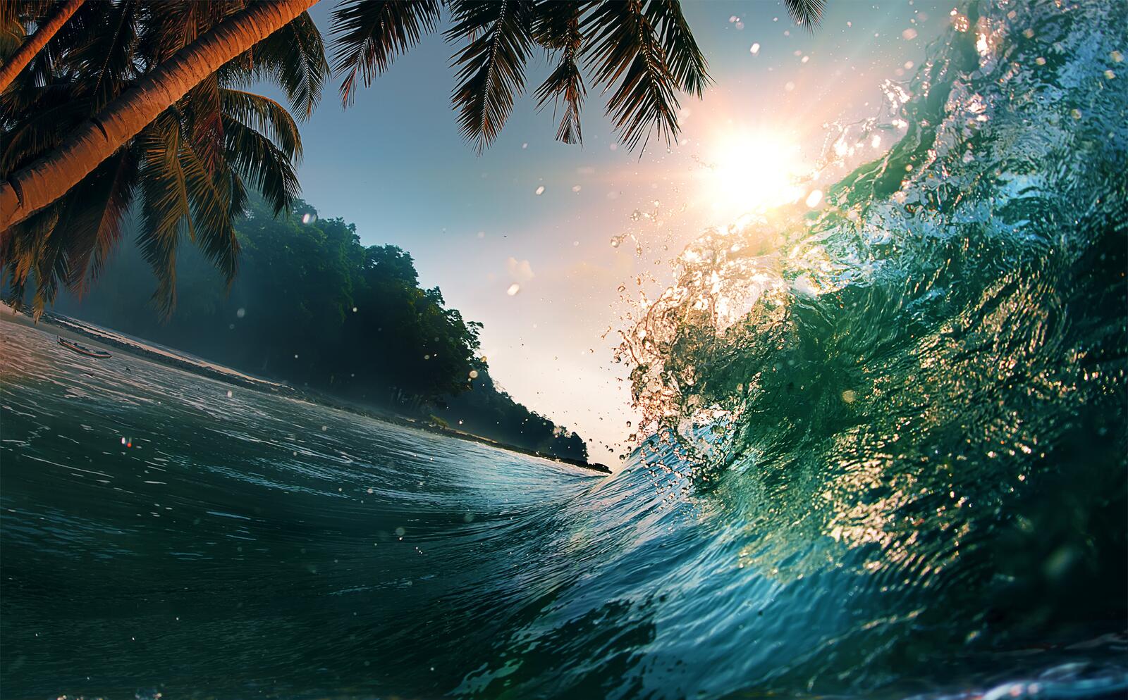 Wallpapers palm trees waves ocean on the desktop