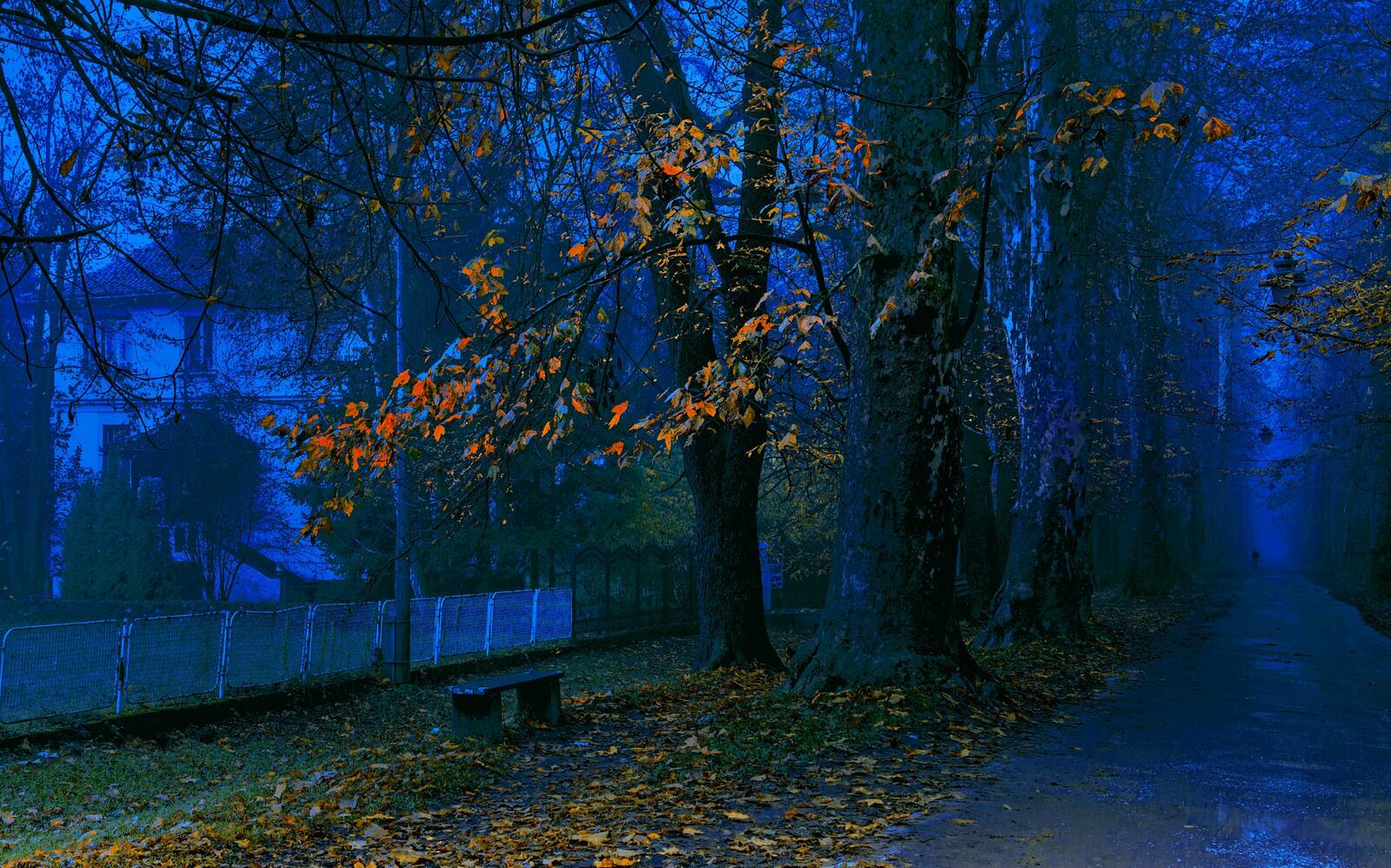 Wallpapers night autumn dusk on the desktop