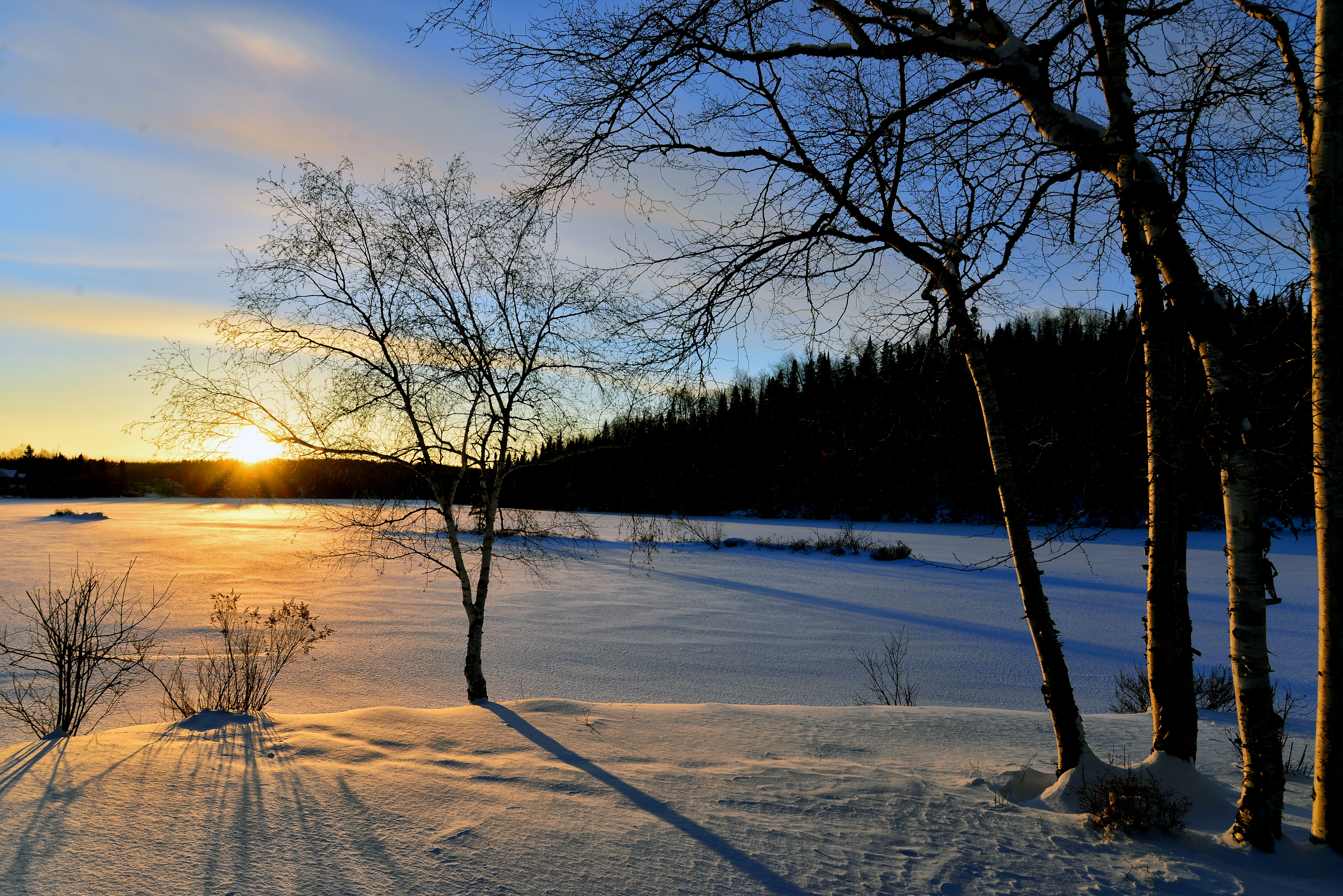 Бесплатное фото Зимнее снежное поле